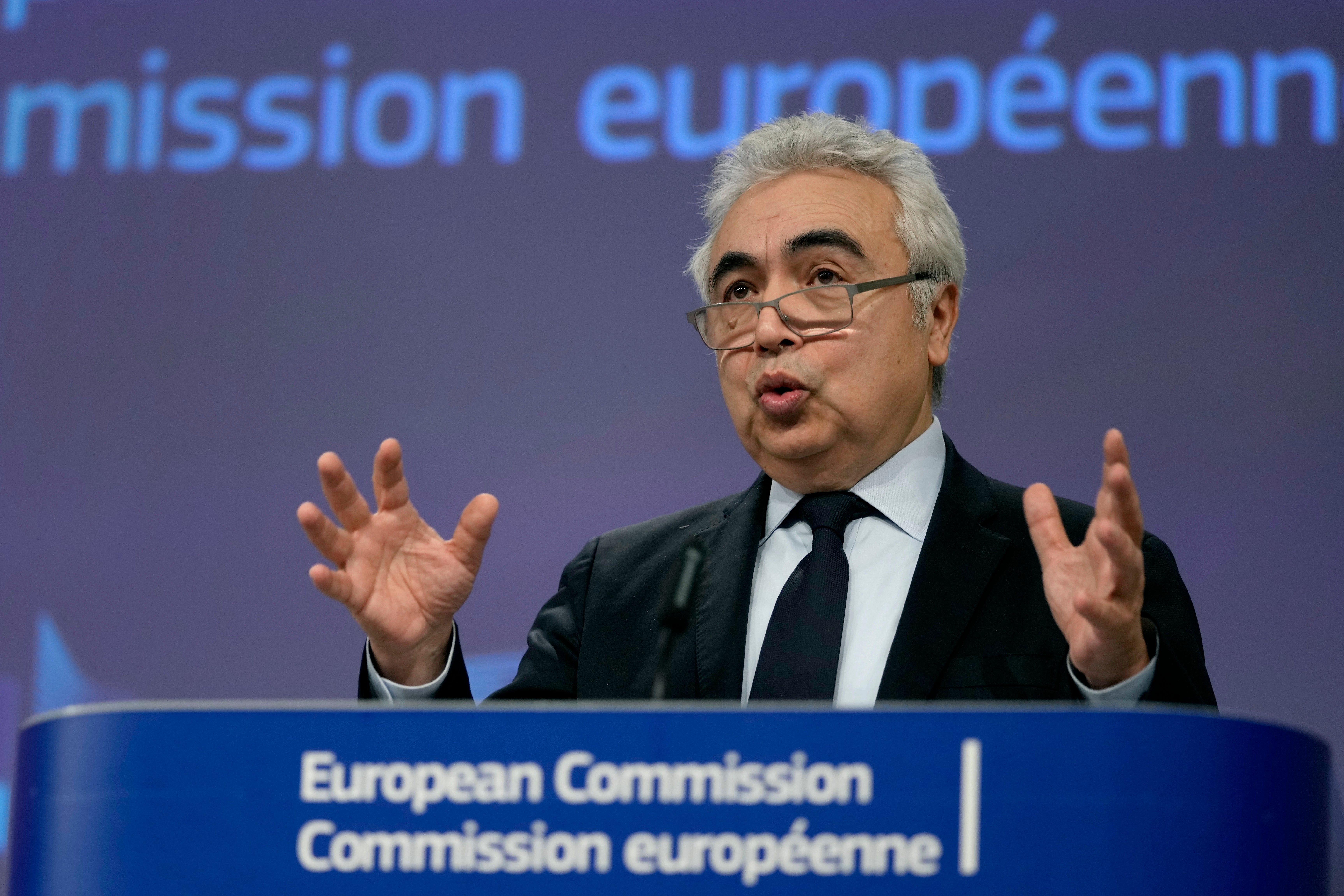 EU Electricity Grids Climate Change