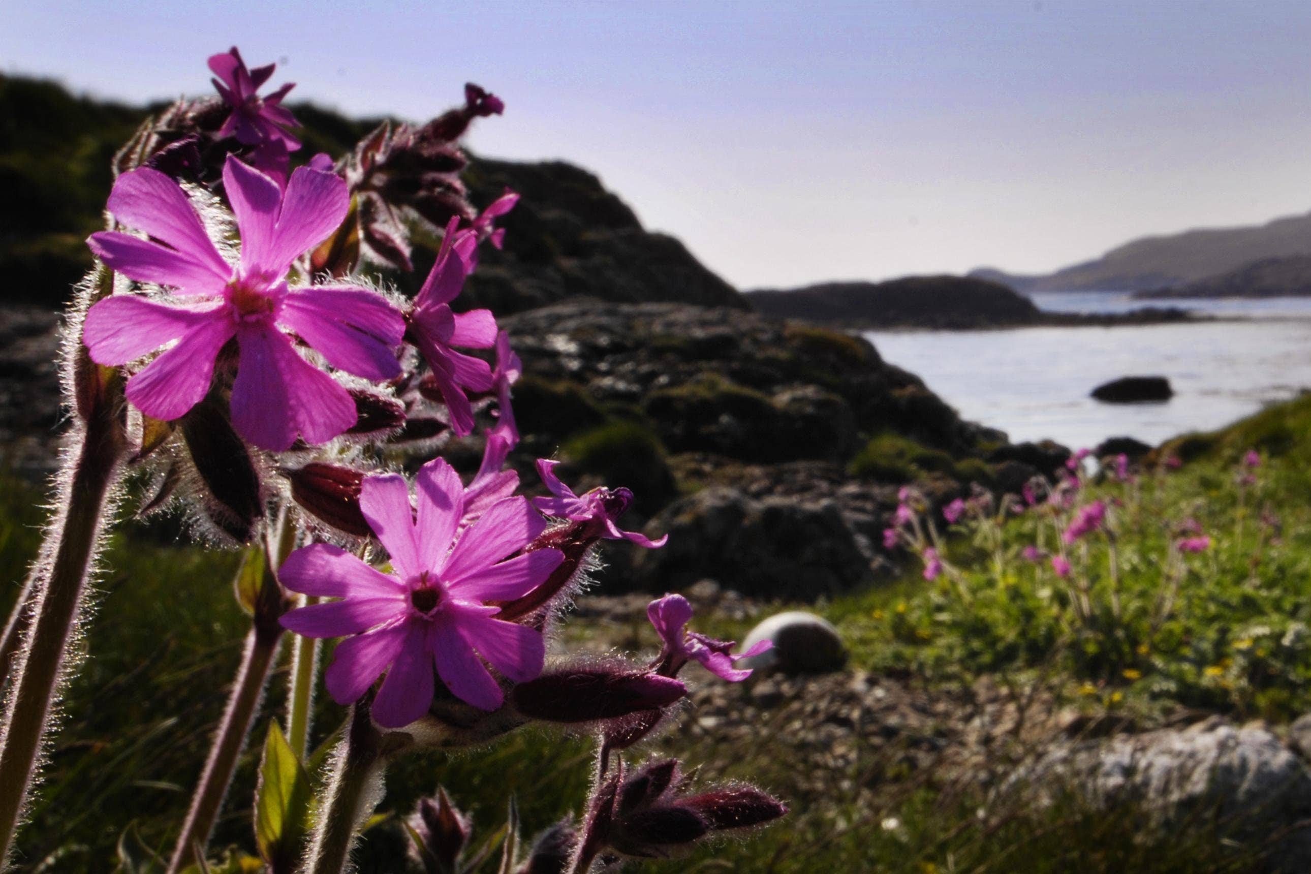 The charities said they have developed the set of voluntary principles for science-based investment to support high integrity natural capital markets in the UK (Danny Lawson/PA)