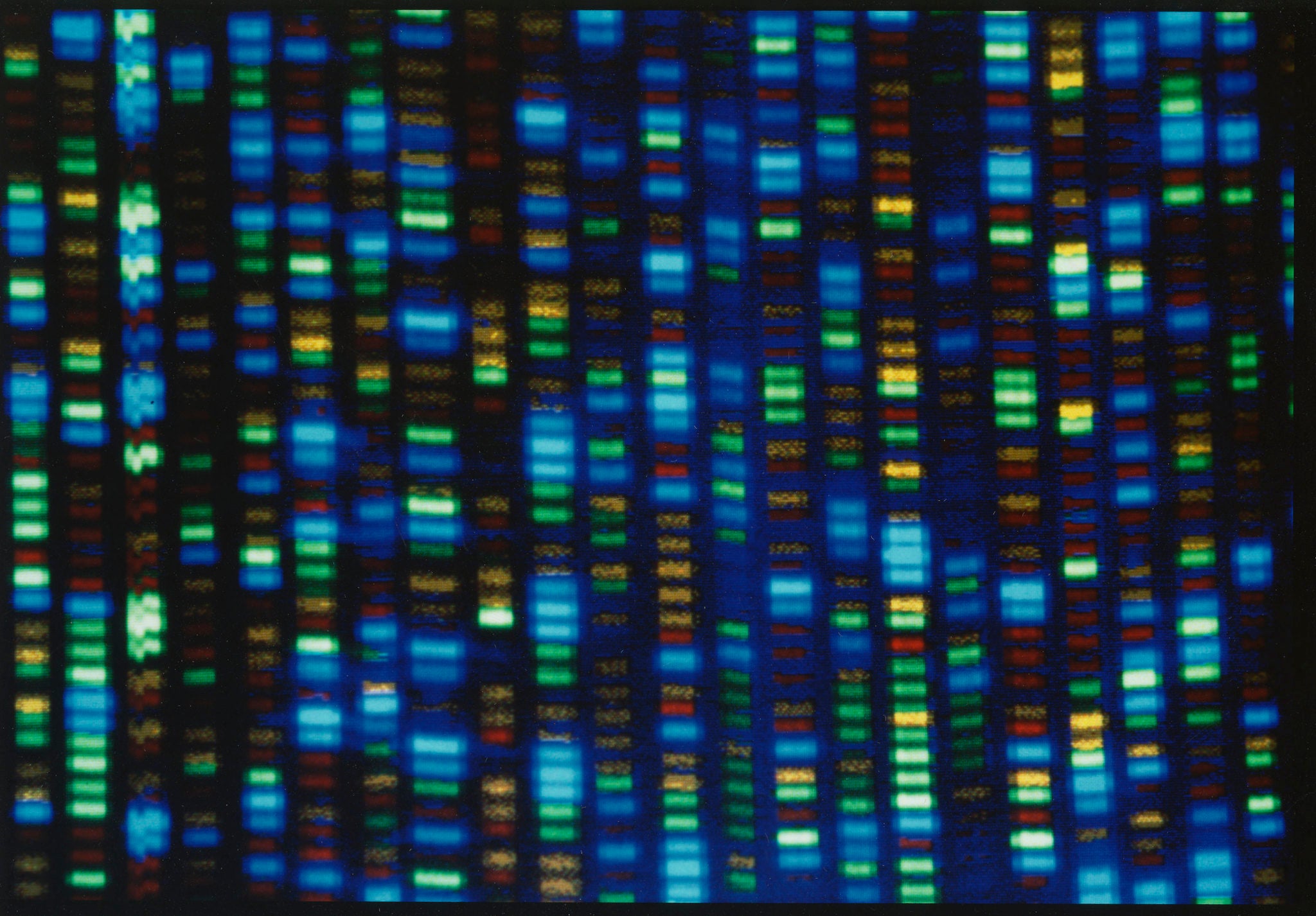 Reference Genome African Ancestry