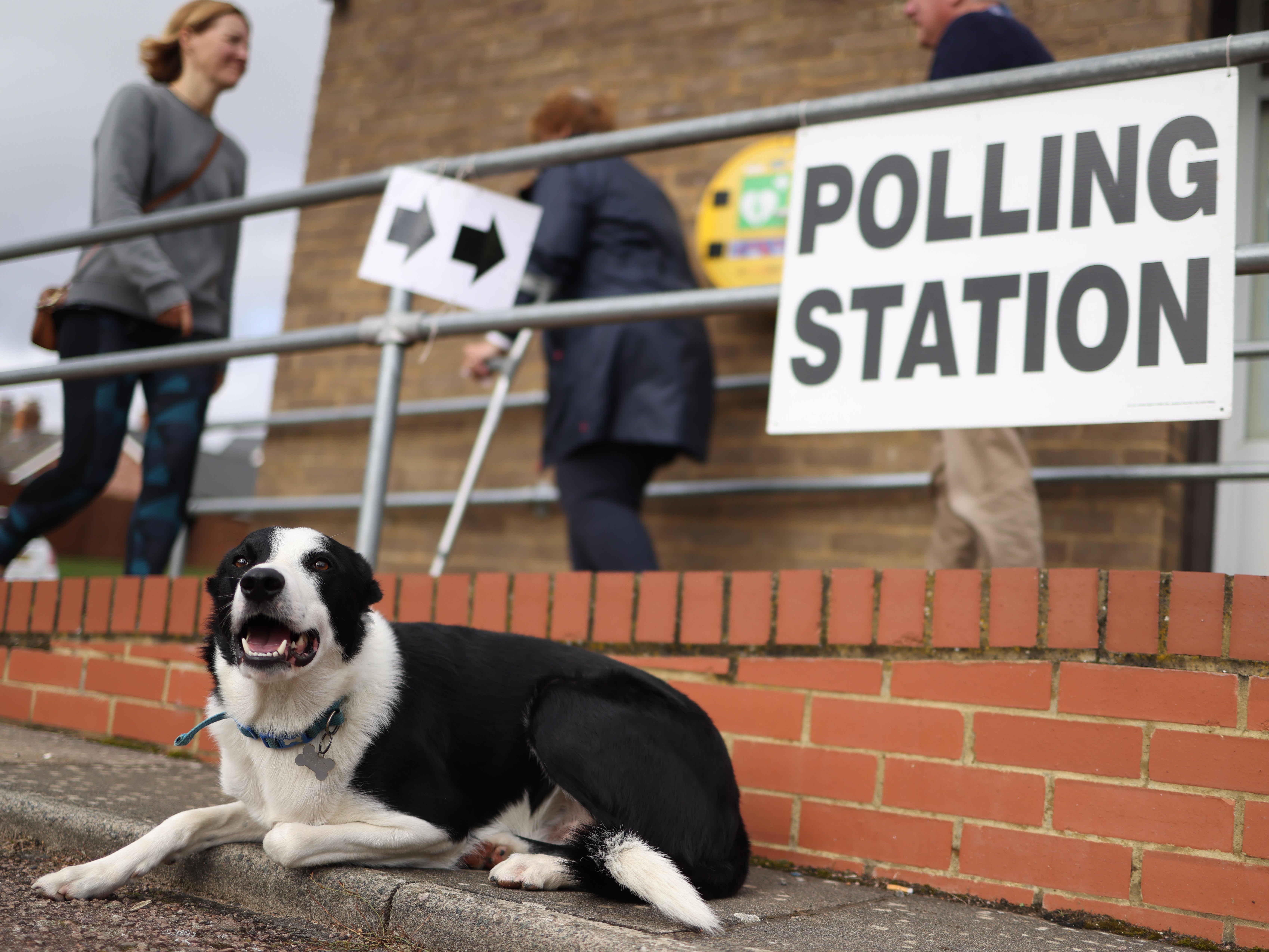 The latest possible date for a general election is 28 January, 2025