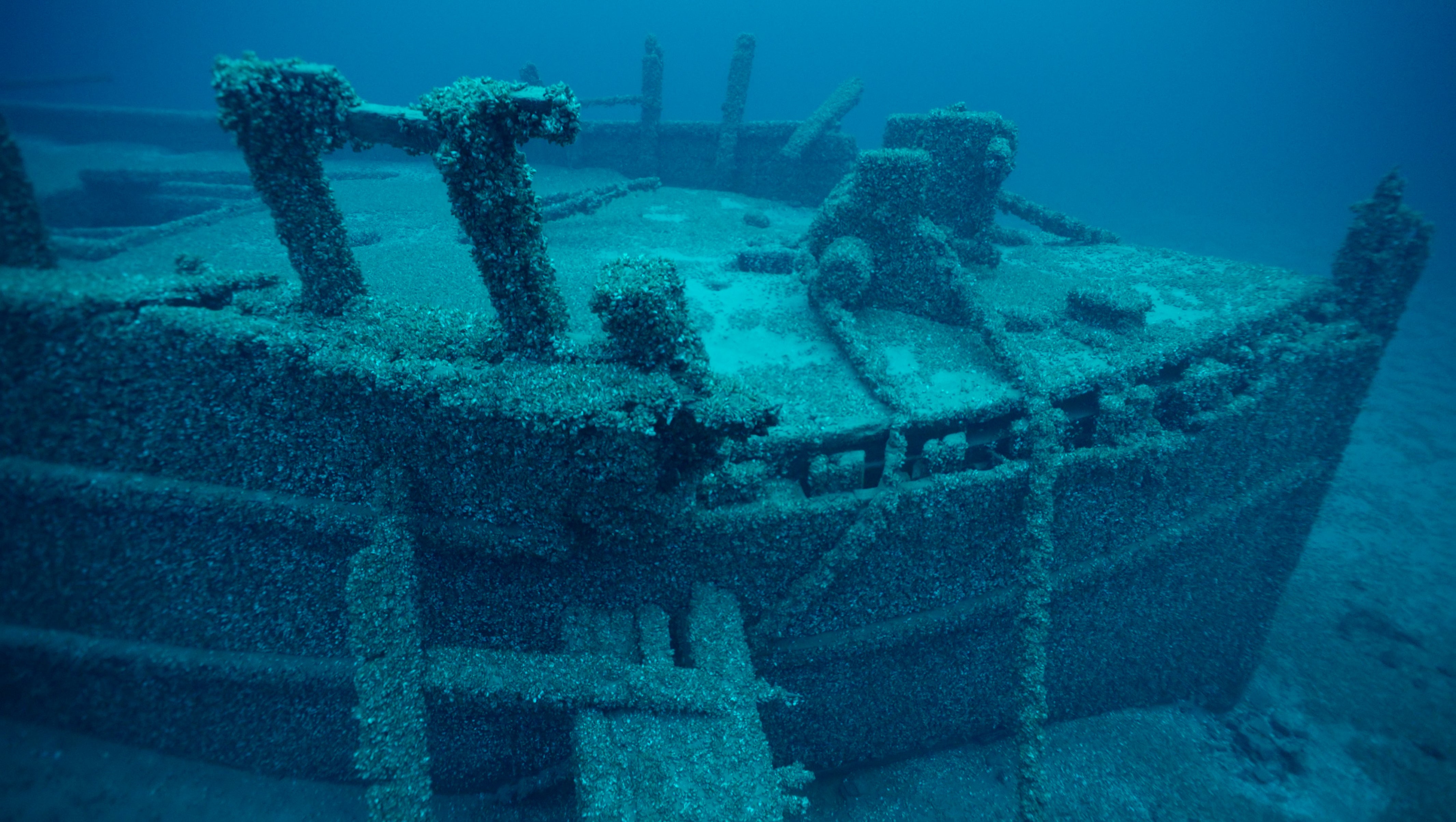 The filmmakers’ robotic camera system spotted the ship by the masses of mussels attached to the wreck