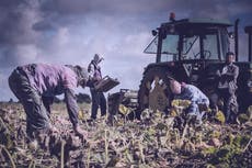 Exposed: Secret report on UK modern slavery the Home Office didn’t want you to see