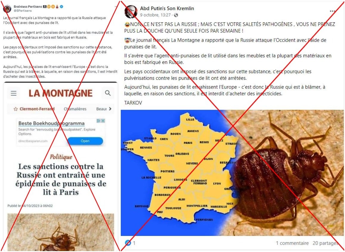 Collage of fake news articles blaming Russian sanctions for the rise of bedbugs