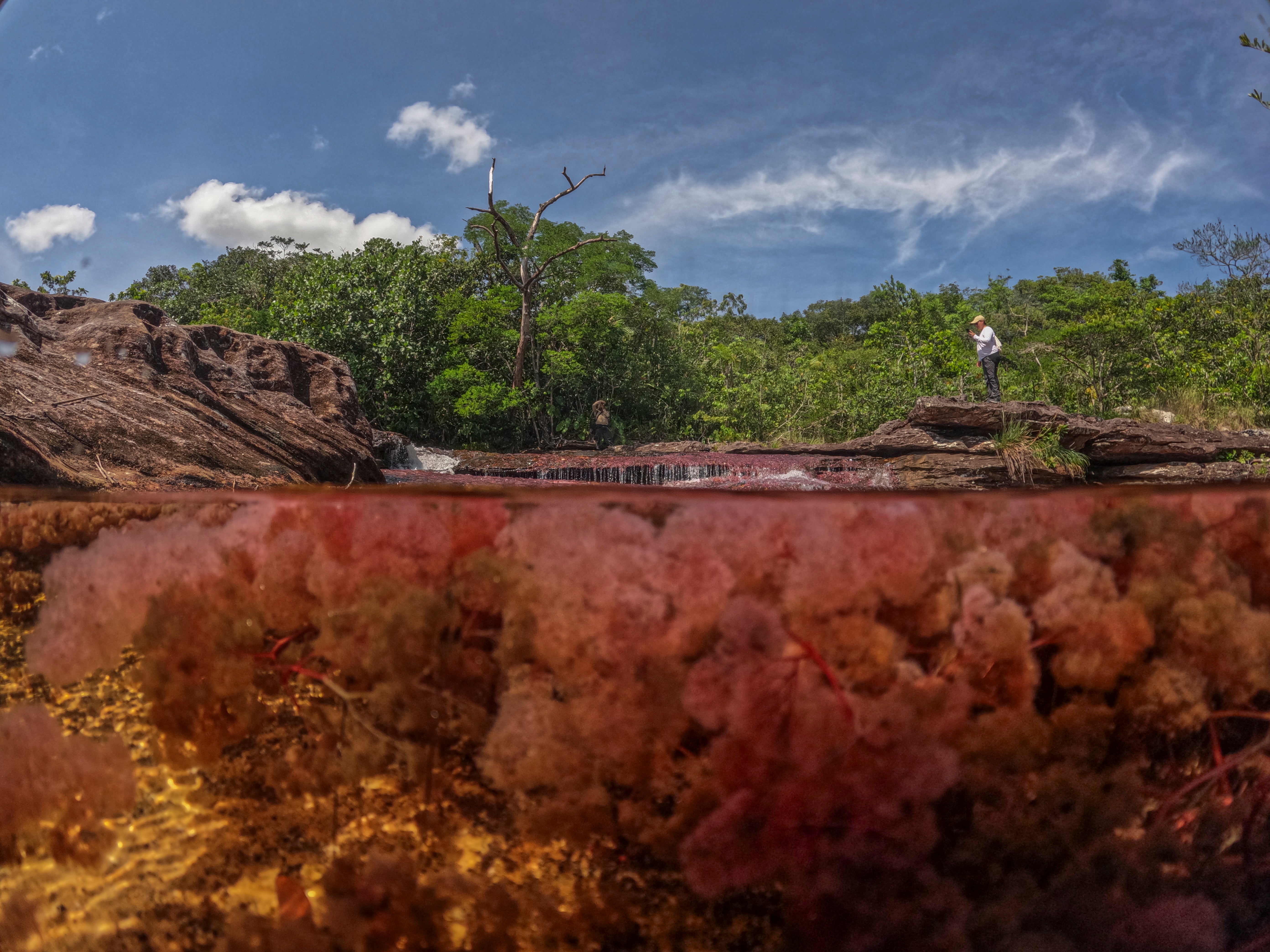 Guaviare, Colombia