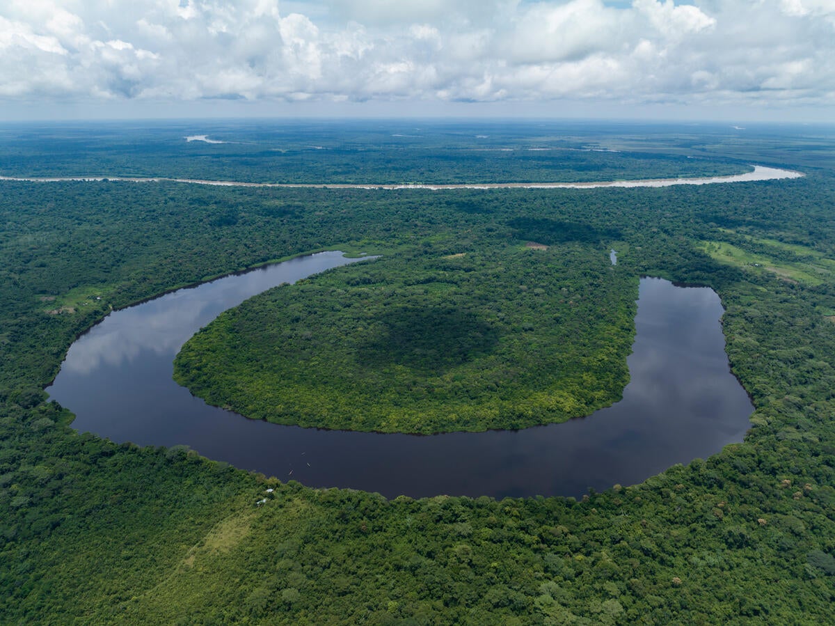 The Colombian Amazon. More than half of the country is covered in forest