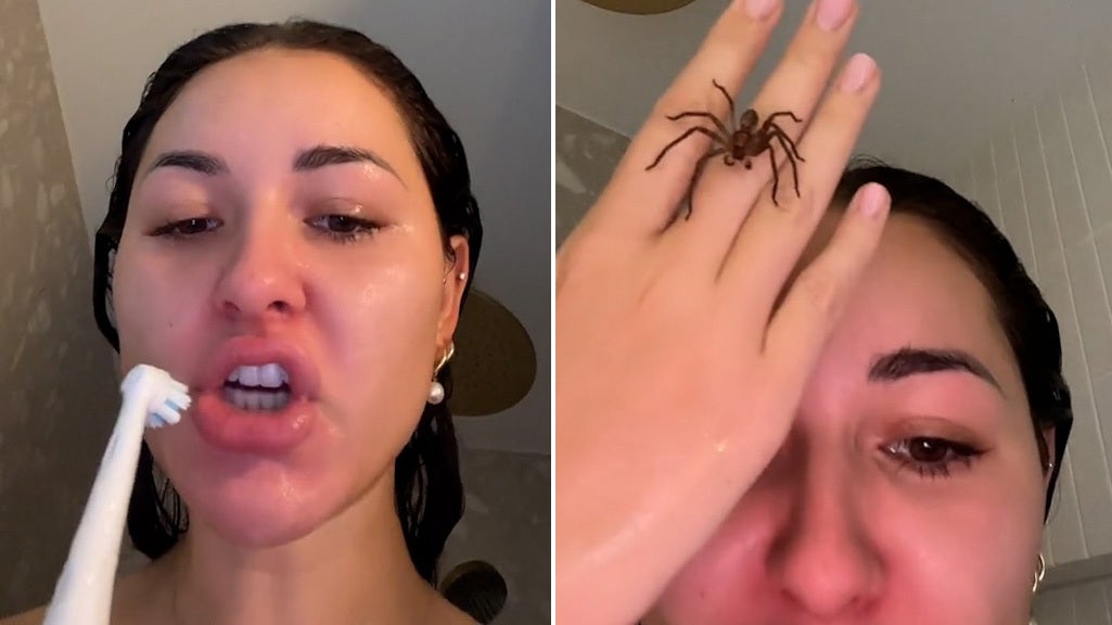 TikTok star Anna Paul befriends huntsman spider crawling all over her body in shower