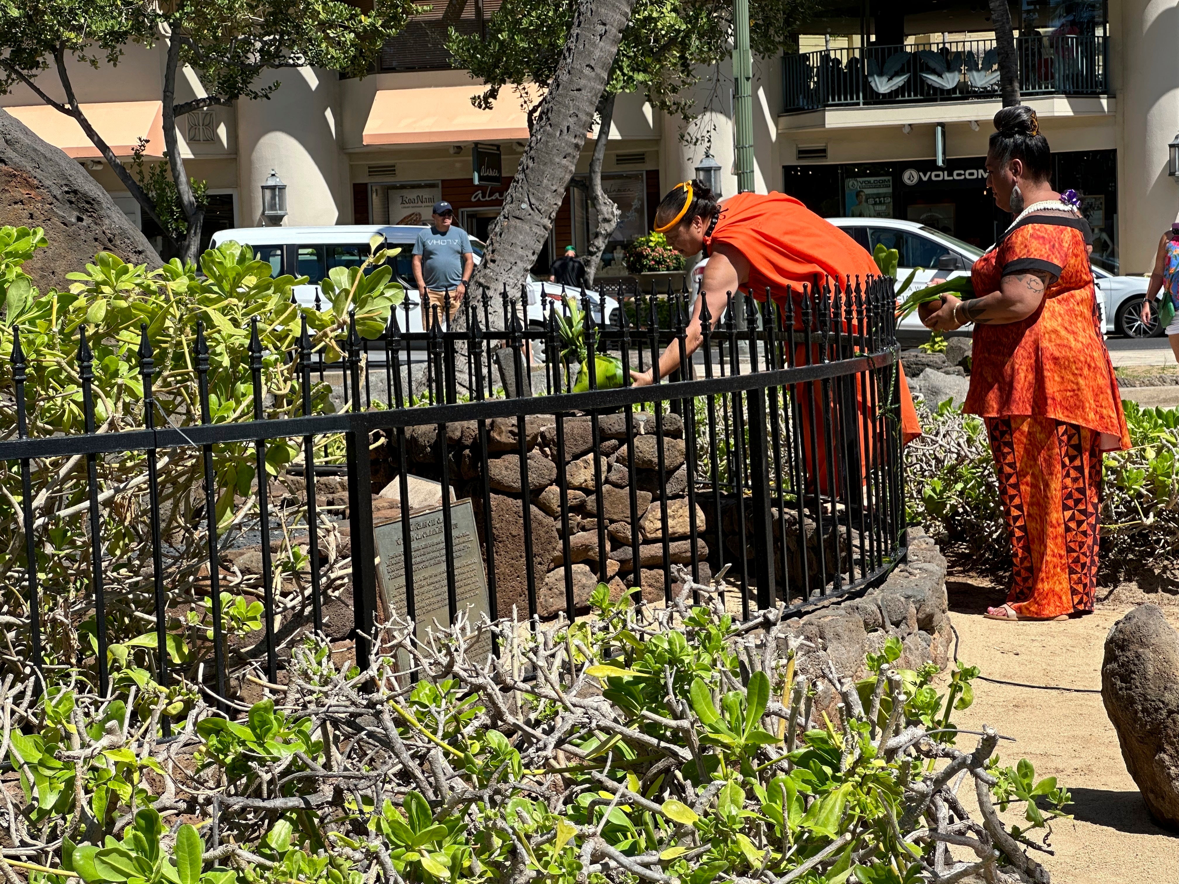 Hawaii Gender Fluid Healers