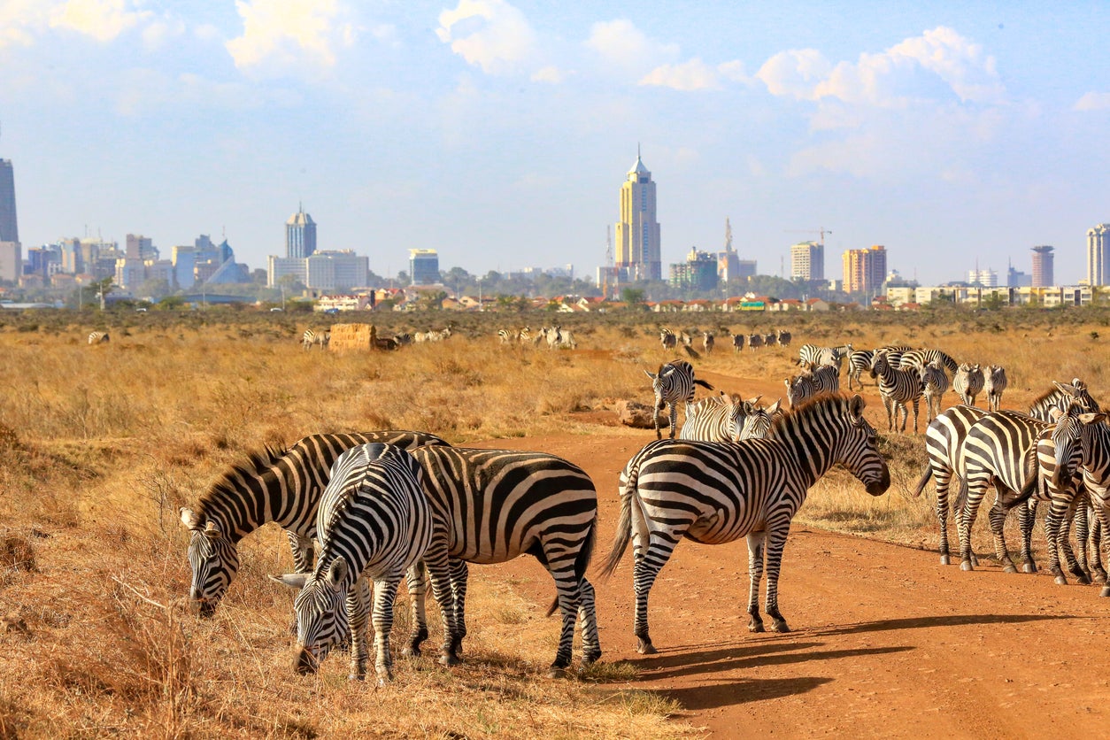 Nairobi made the cut for its ‘sizzling’ culture