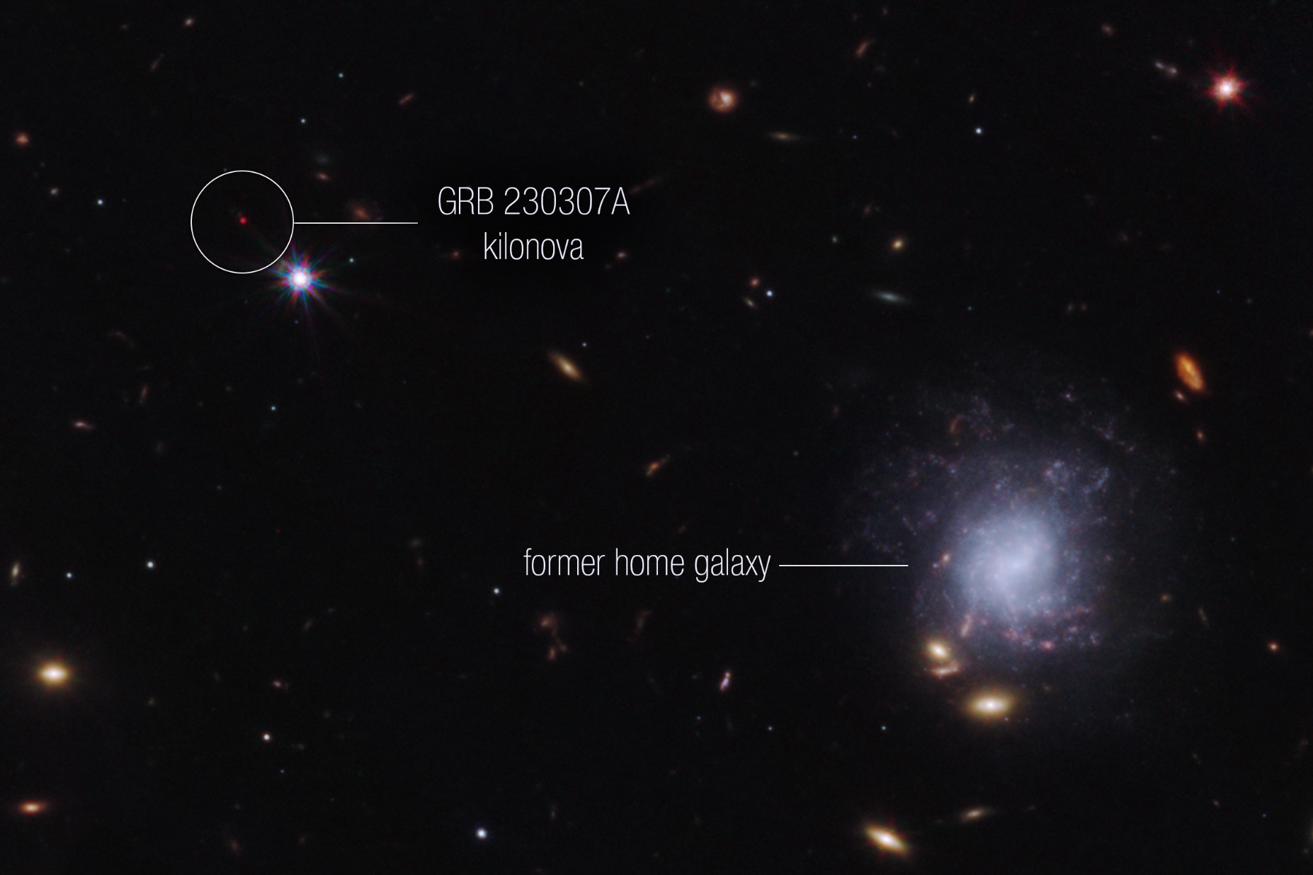 A team of scientists has used Nasa’s James Webb Space Telescope to observe an exceptionally bright gamma-ray burst, GRB 230307A (NASA/ESA/CSA/STScI/Andrew Levan/Radboud University/University of Warwick)