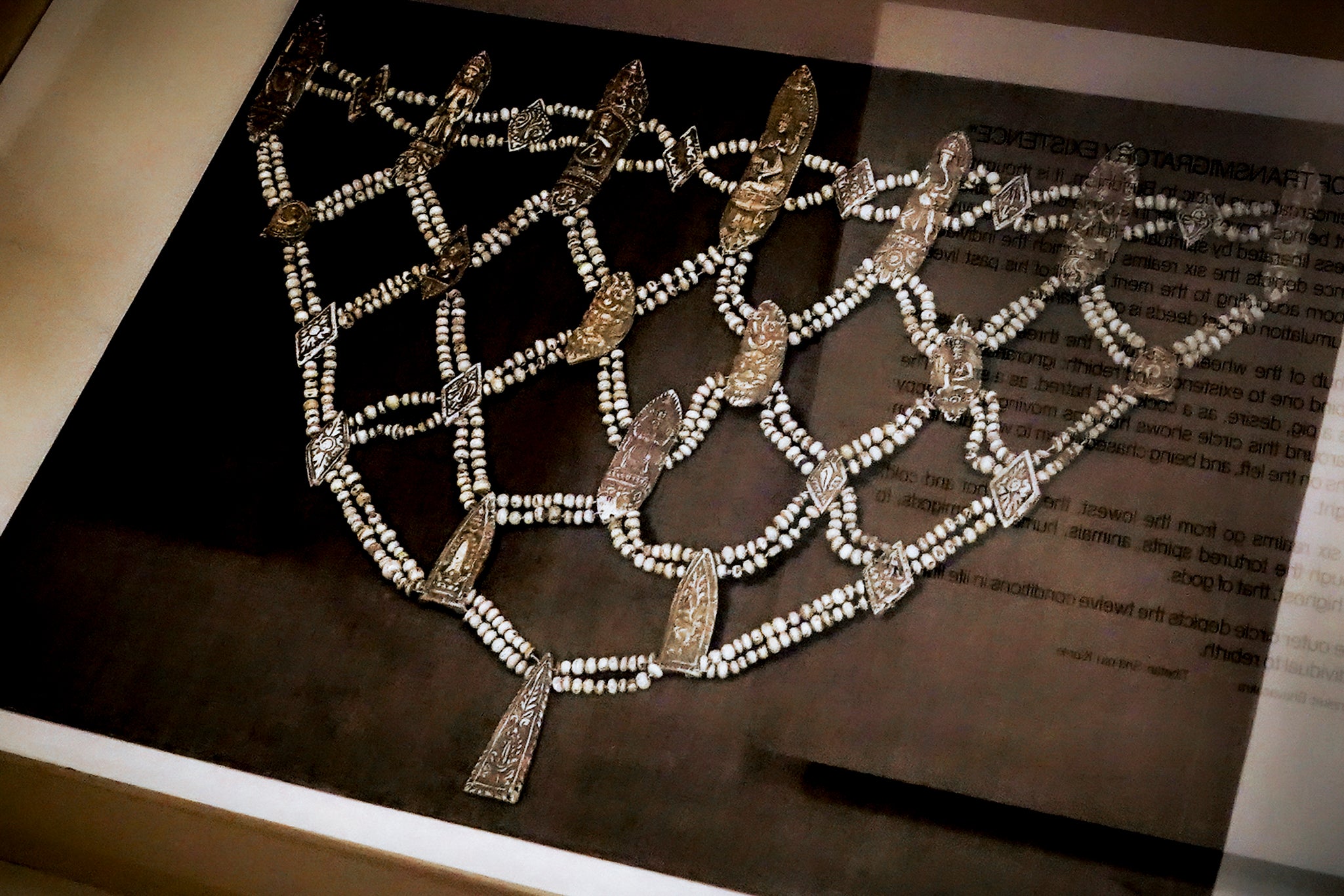 Museum Human Remains