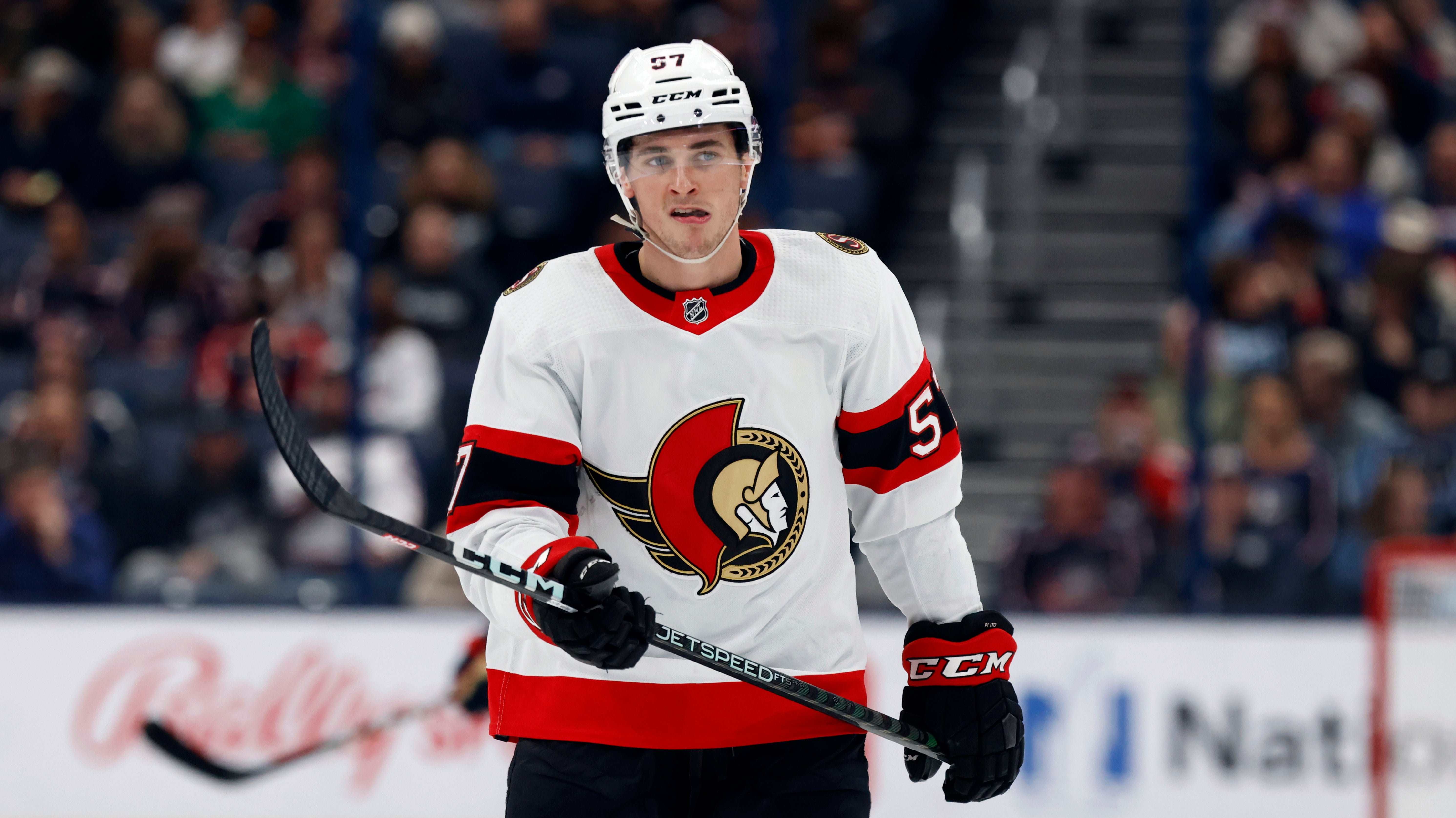 Senators Gambling Suspension Hockey
