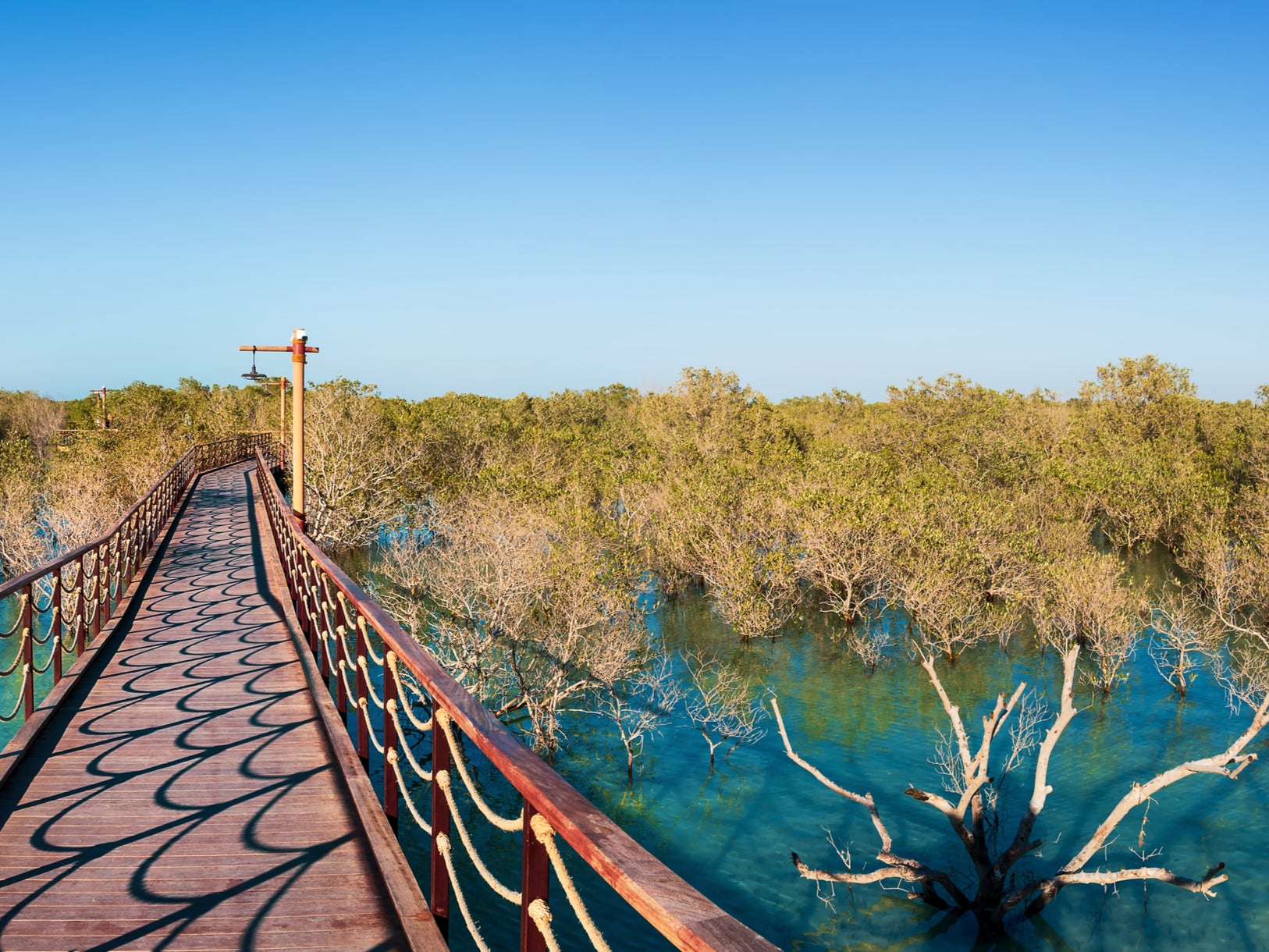 The mangroves offer another side of Abu Dhabi