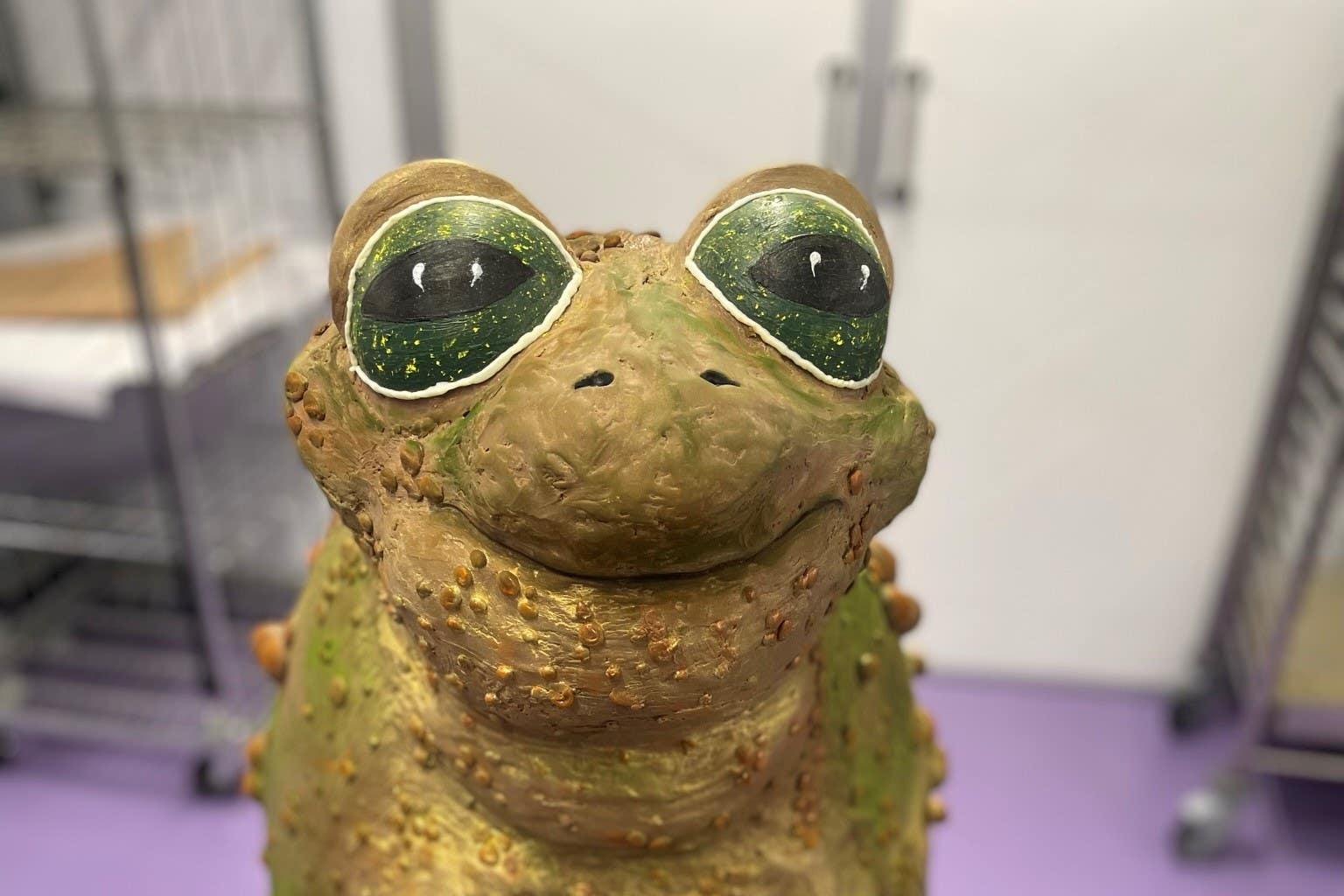 A chocolate toad has been created by master chocolatiers at Cadbury World in time for Halloween (Phil Barnett/PA)