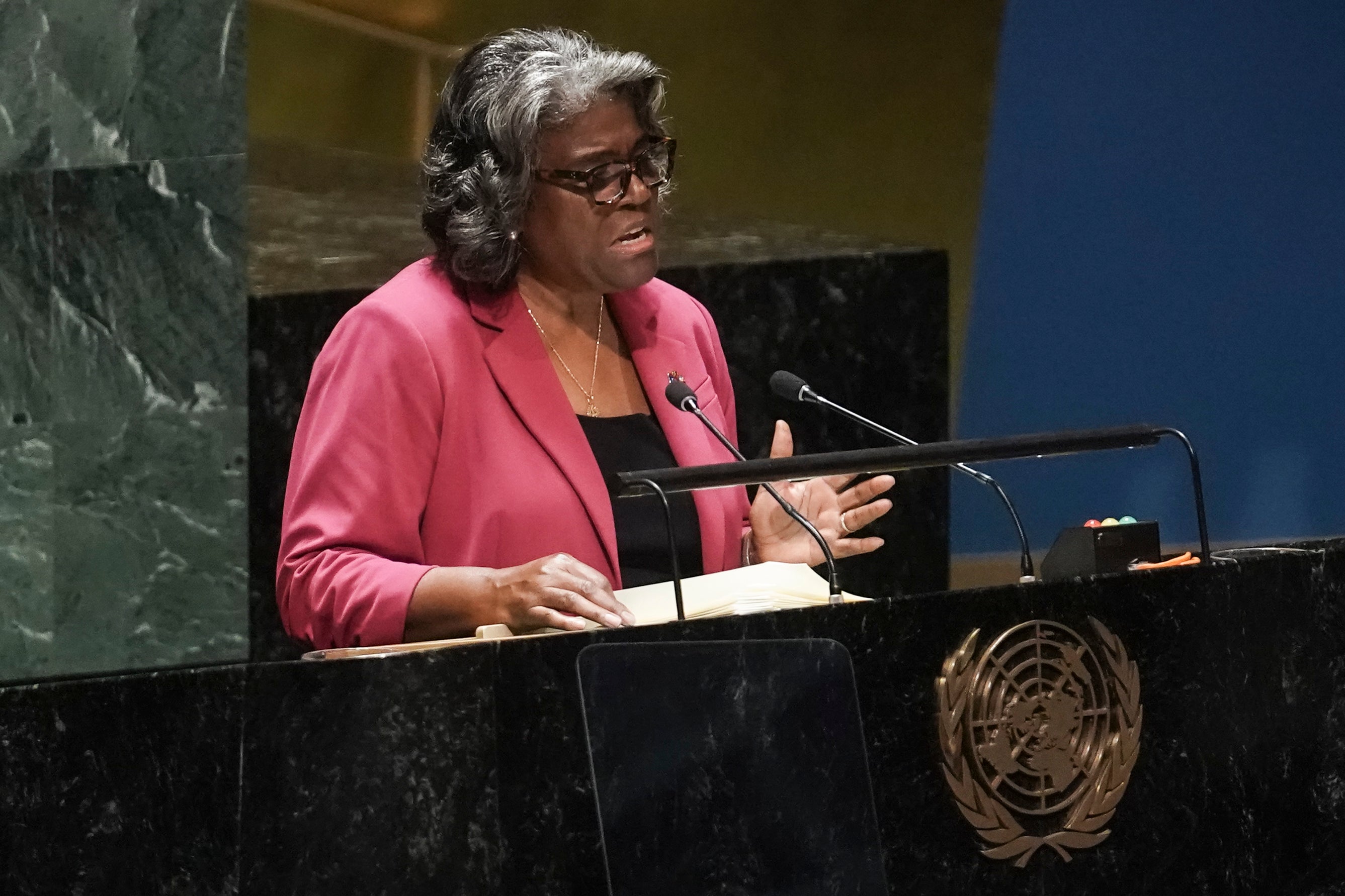 United Nations General Assembly