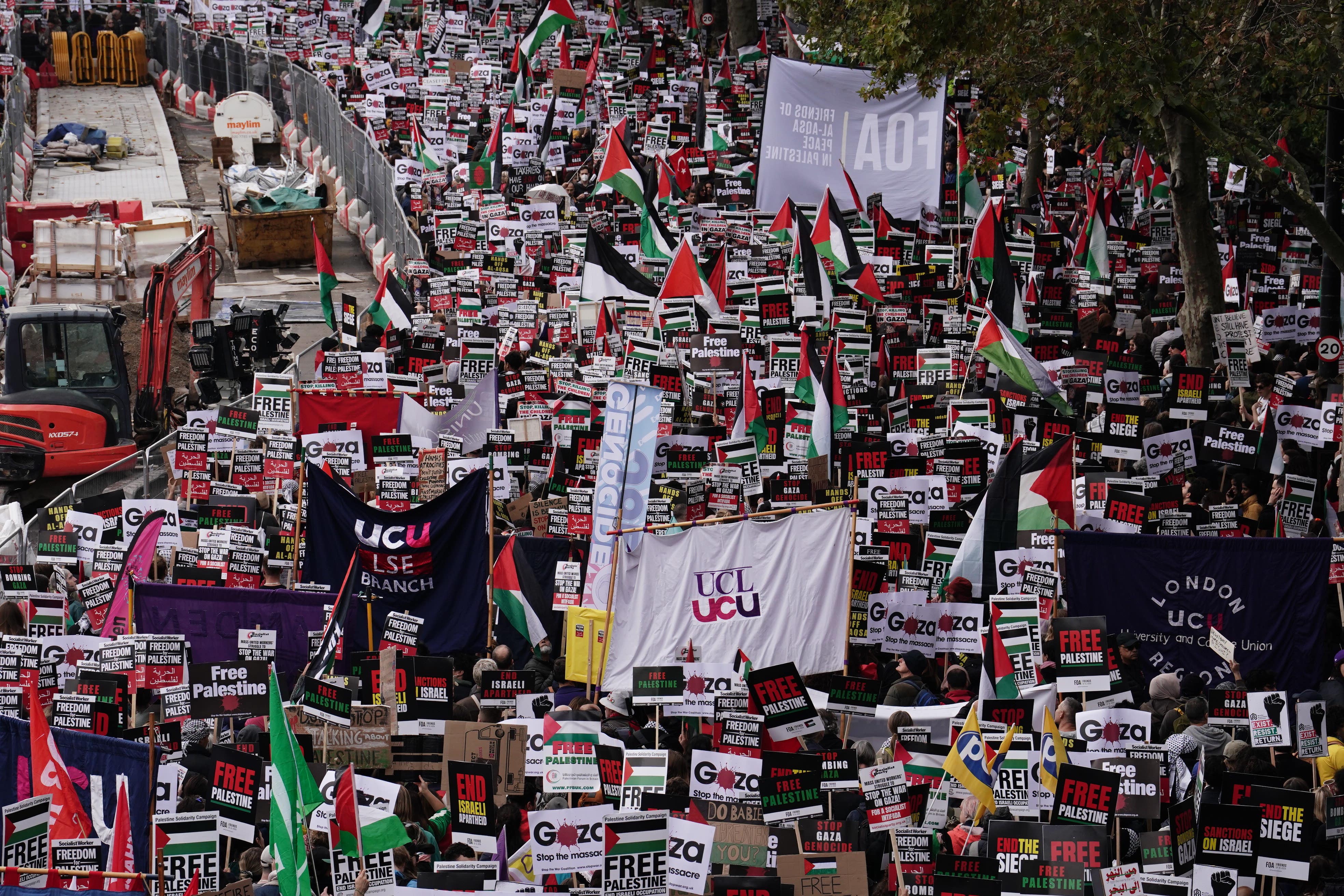 Pro-Palestinian protesters at the march in London