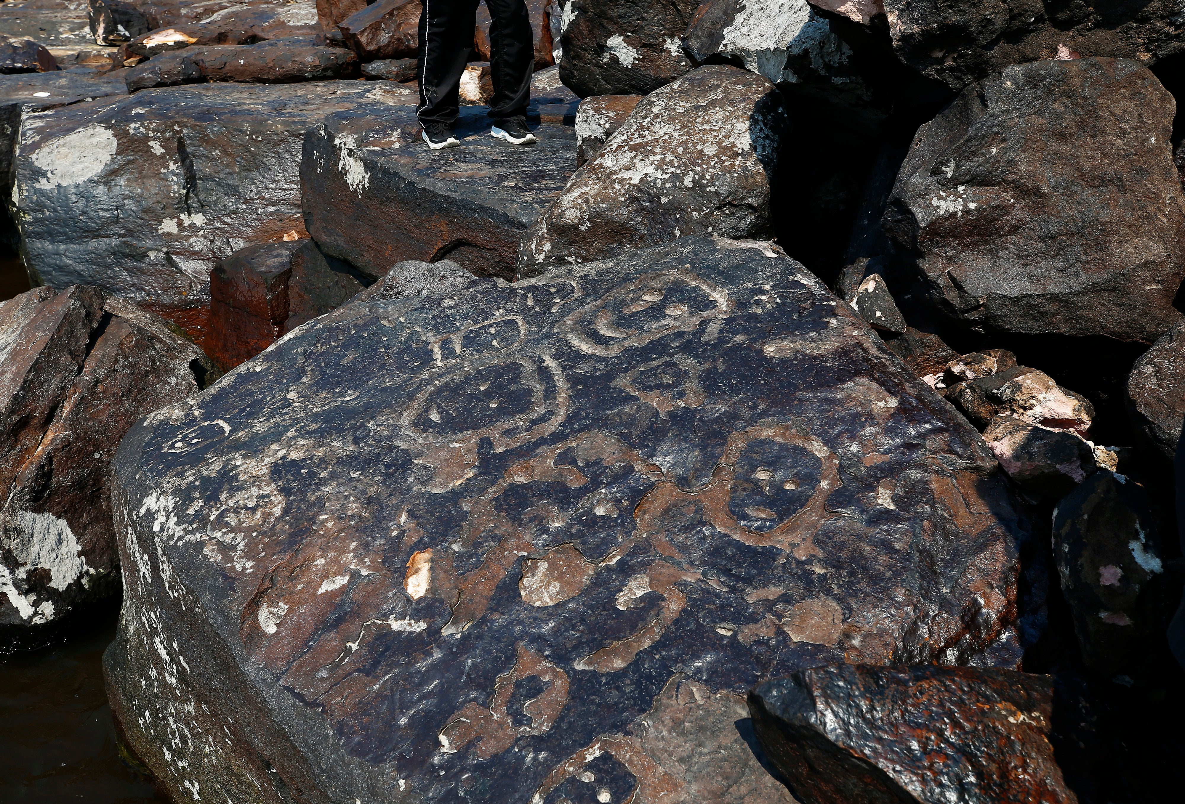 Brazil Amazon Drought