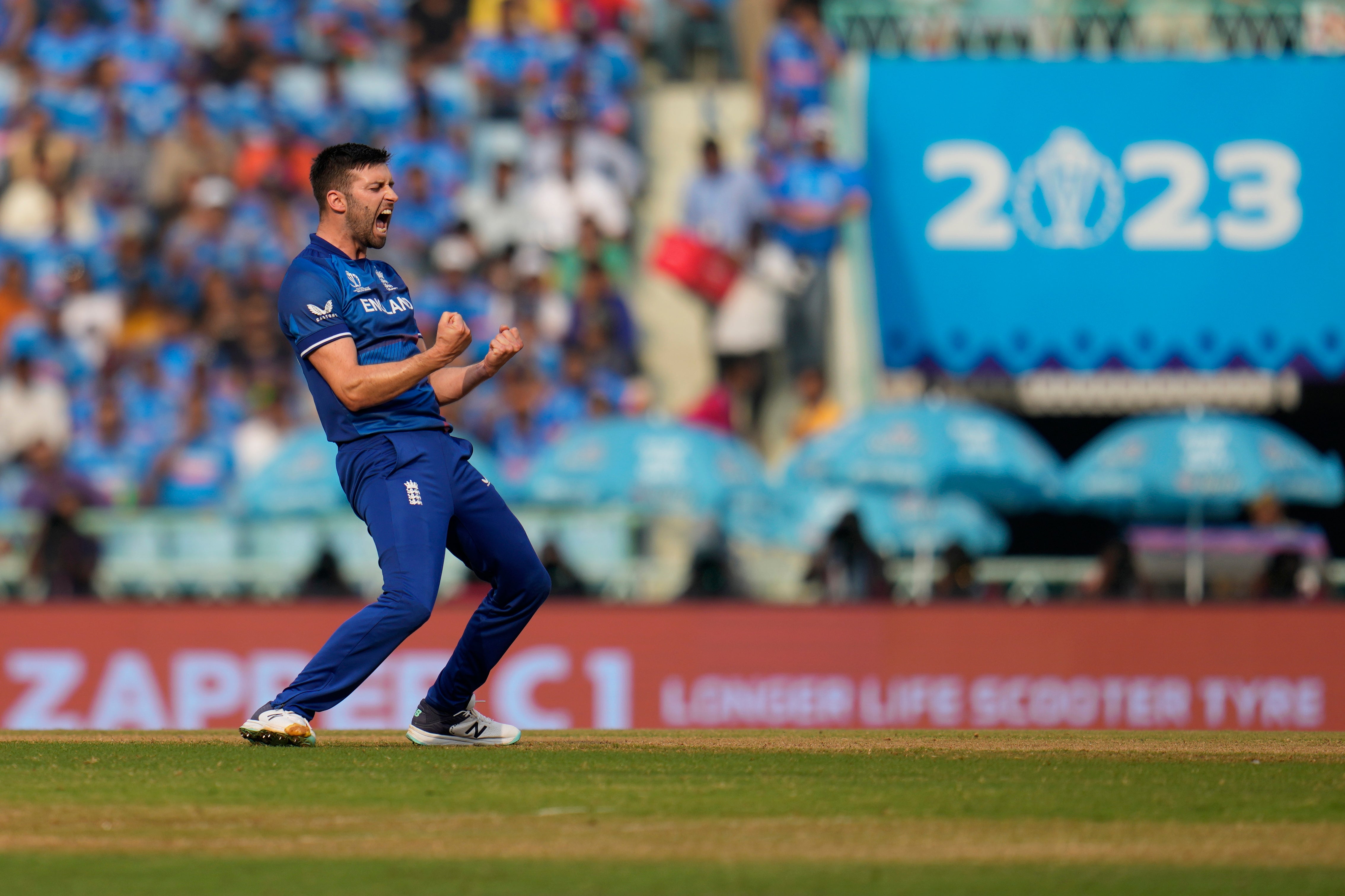 Mark Wood celebrates taking a wicket