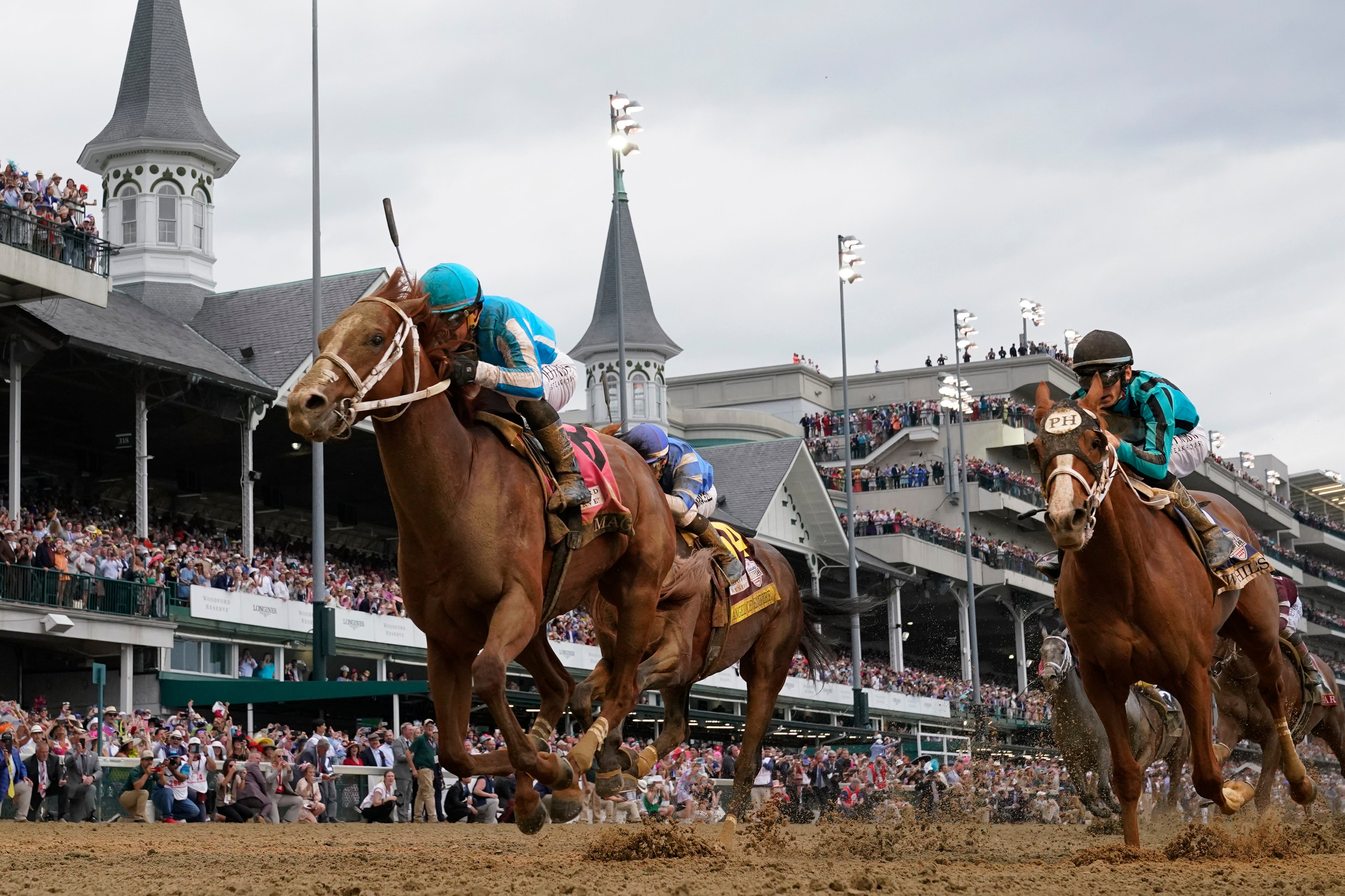 Breeders Cup Pre Entries Horse Racing