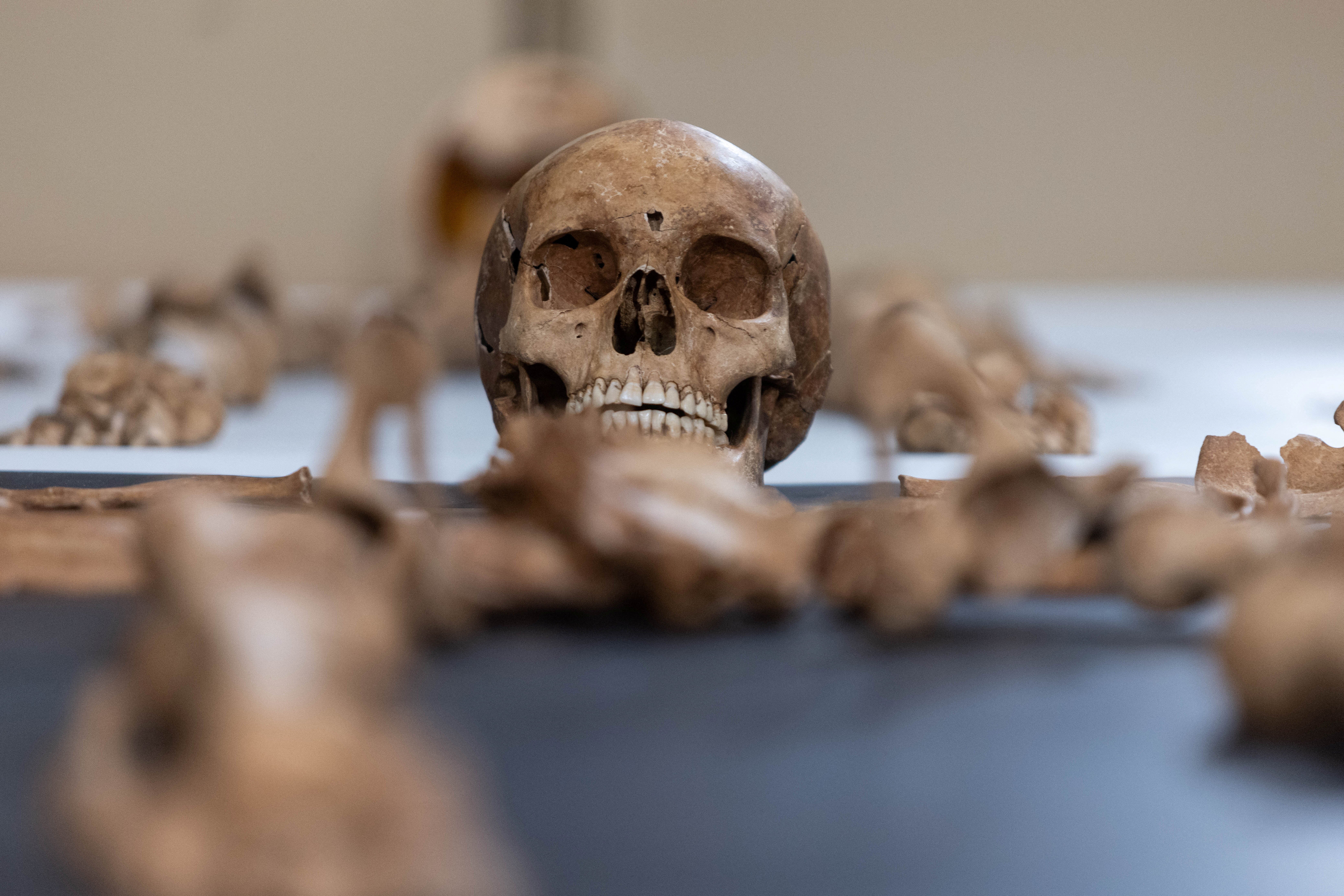 Remains of the woman found at the 17th century cemetery for rejected people in the village of Pien, northern Poland, are revealed by Polish archaeologists from Nicolas Copernicus University in Torun