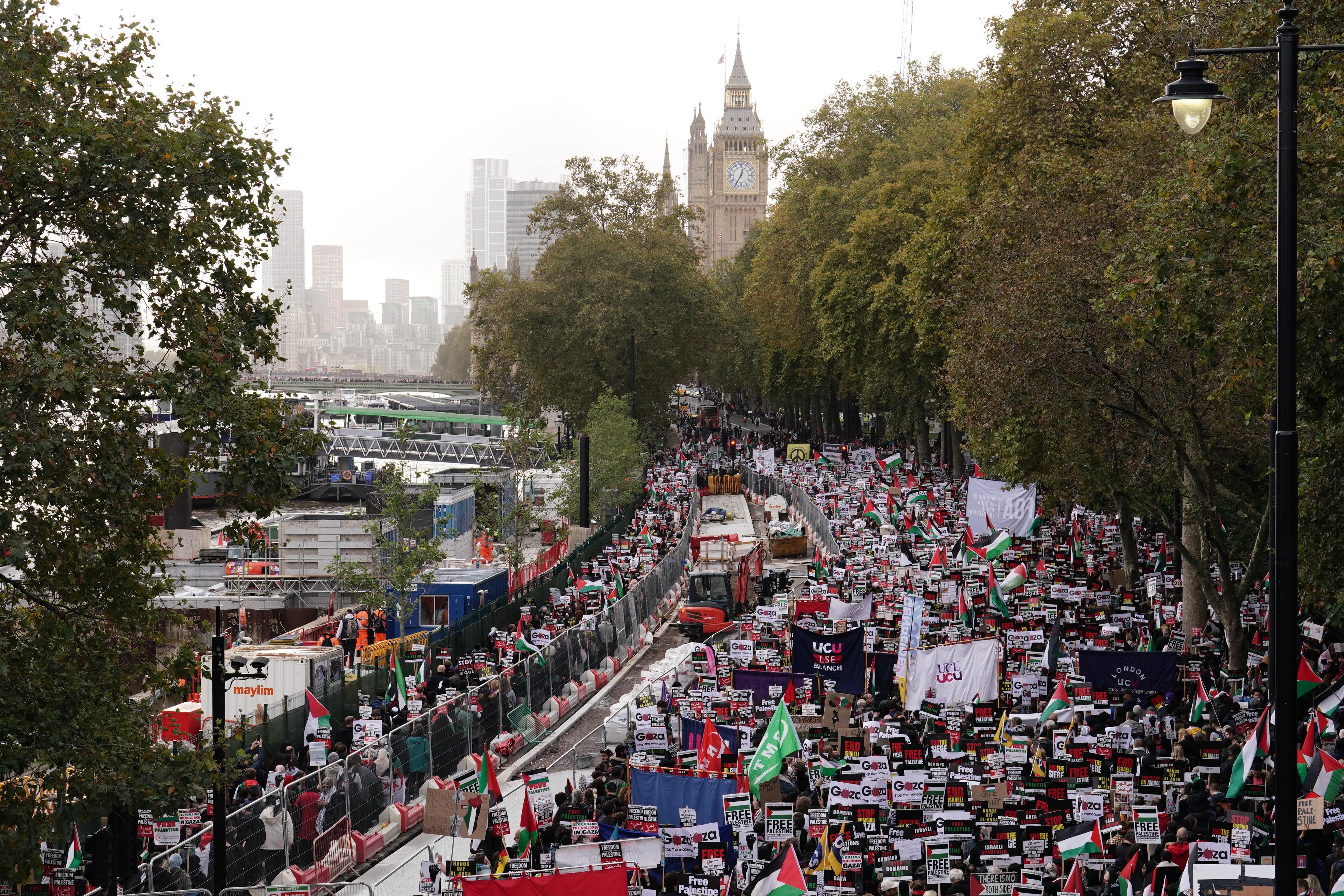 Protesters during a pro-Palestine march organised by Palestine Solidarity Campaign in central London. Picture date: Saturday October 28, 2023.