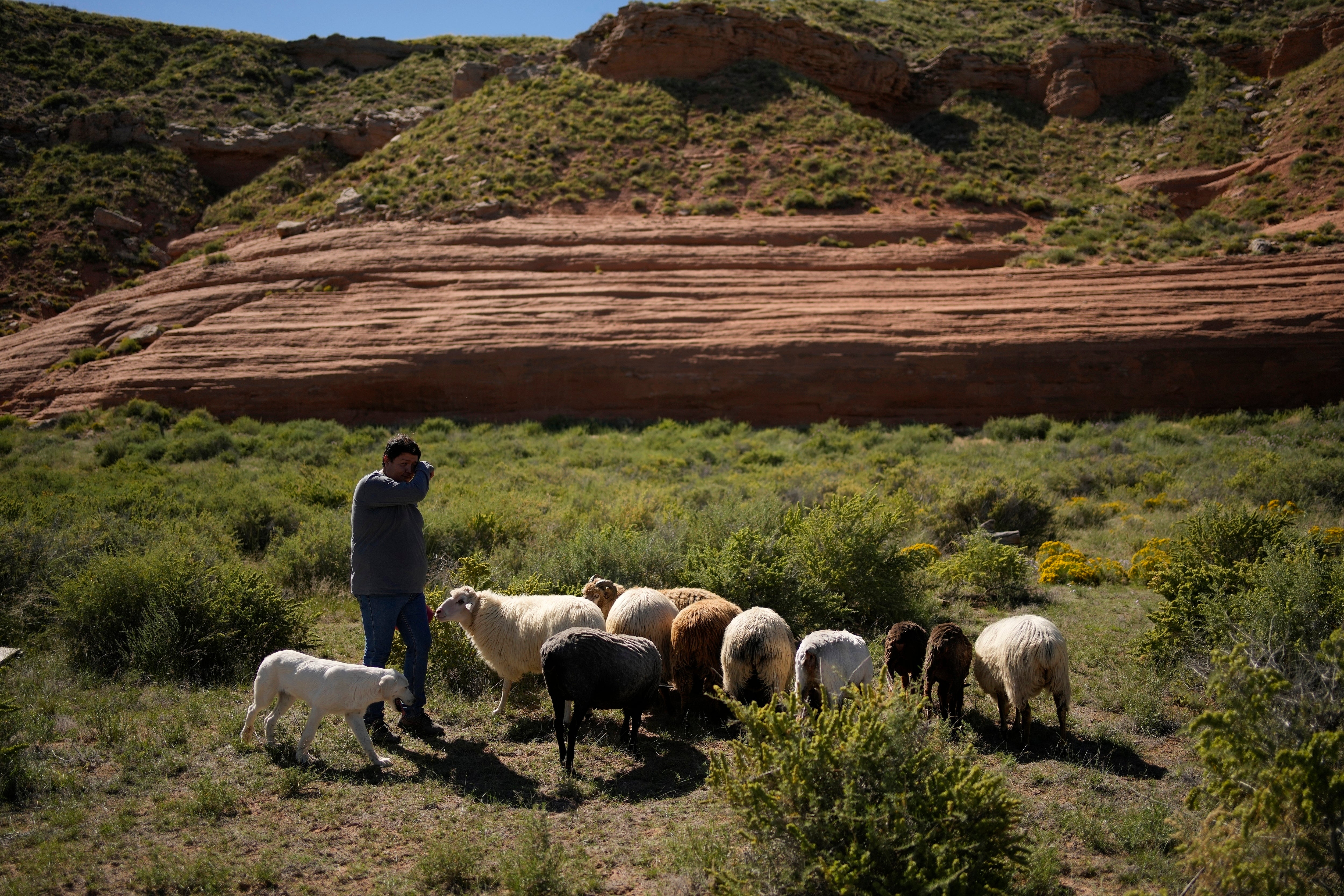 Climate Navajo Sheep Tradition