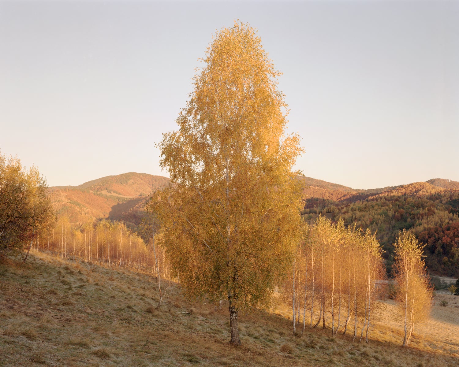 The border between Piatra Craiului National Park and the Barsa Hunting Area in Romania