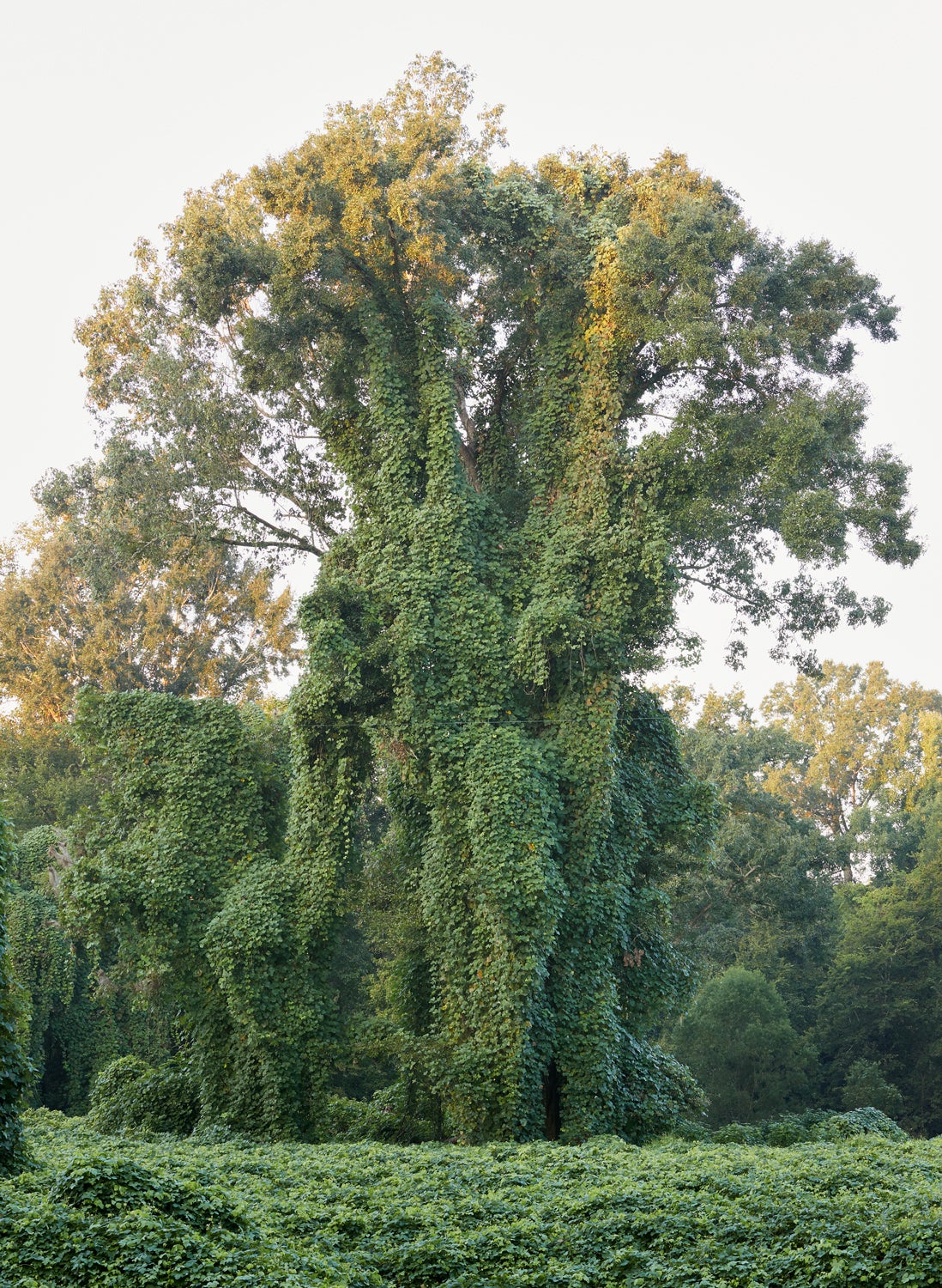 Mississippi, US