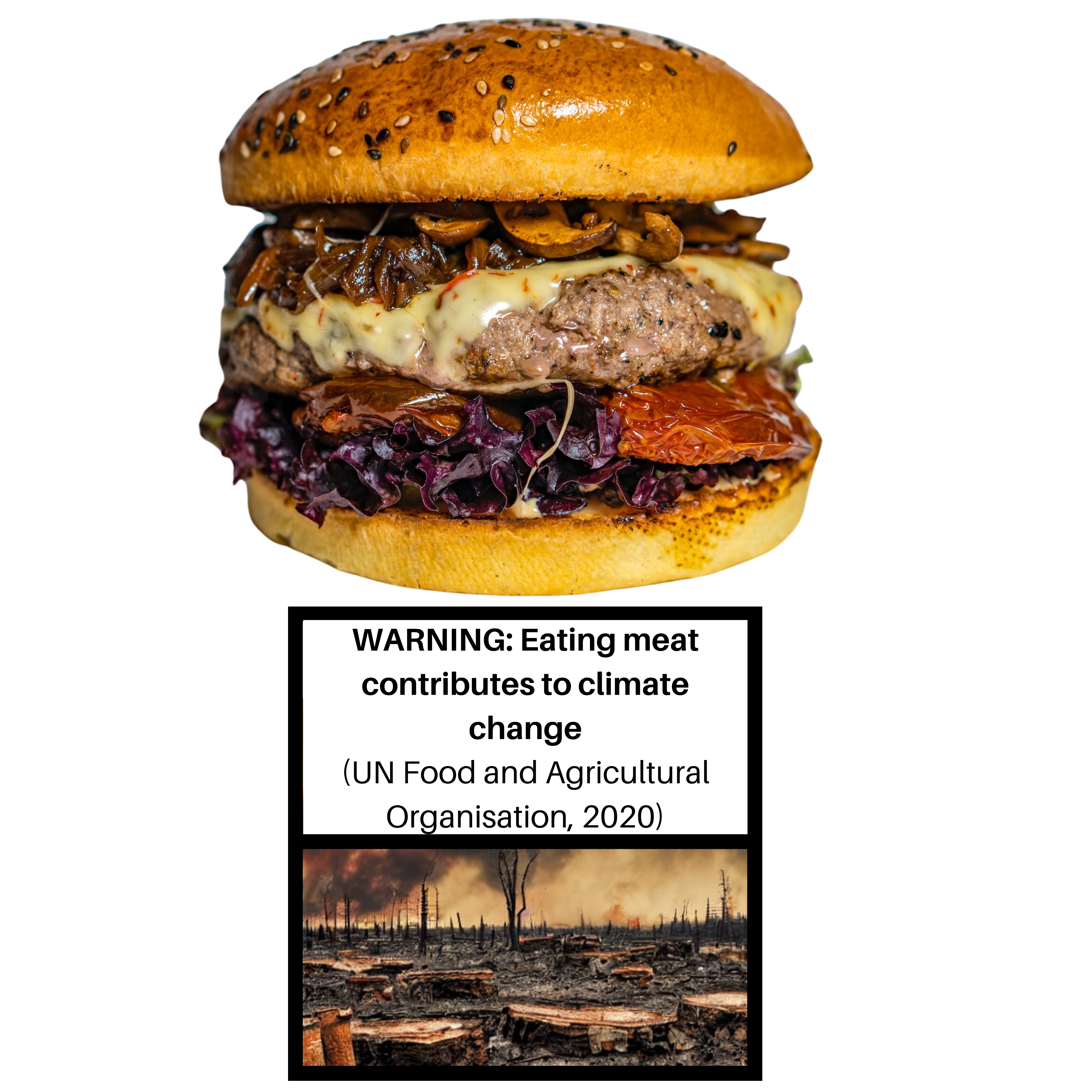 One of the cigarette pack-style warning labels suggested for meat-based meals