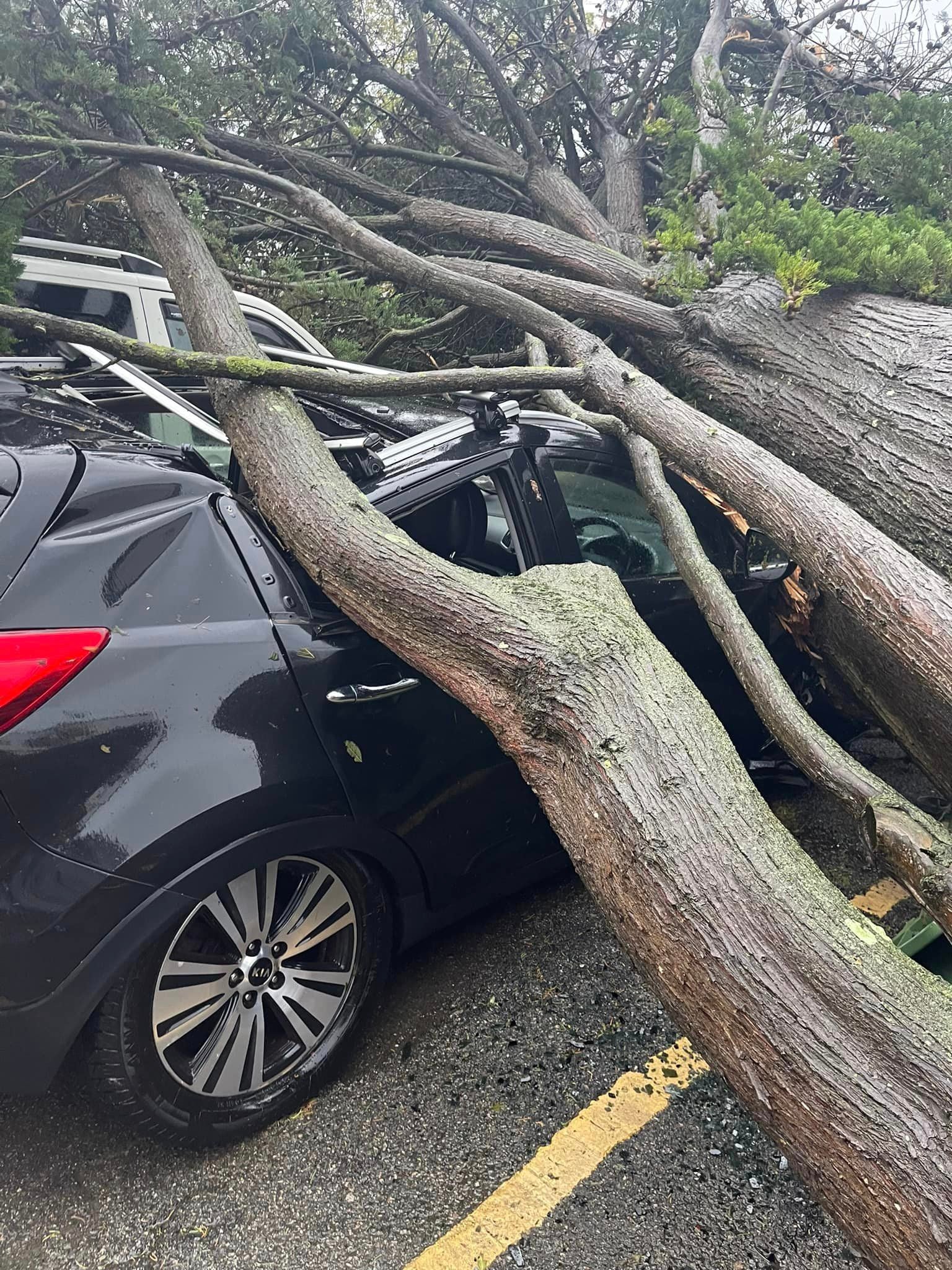 Ms Kelly’s vehicle was completely crushed by a fallen tree