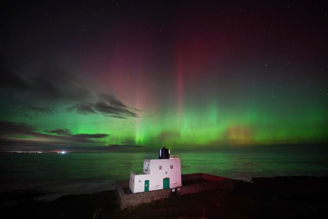 <p>Aurora borealis in Northumberland last November </p>