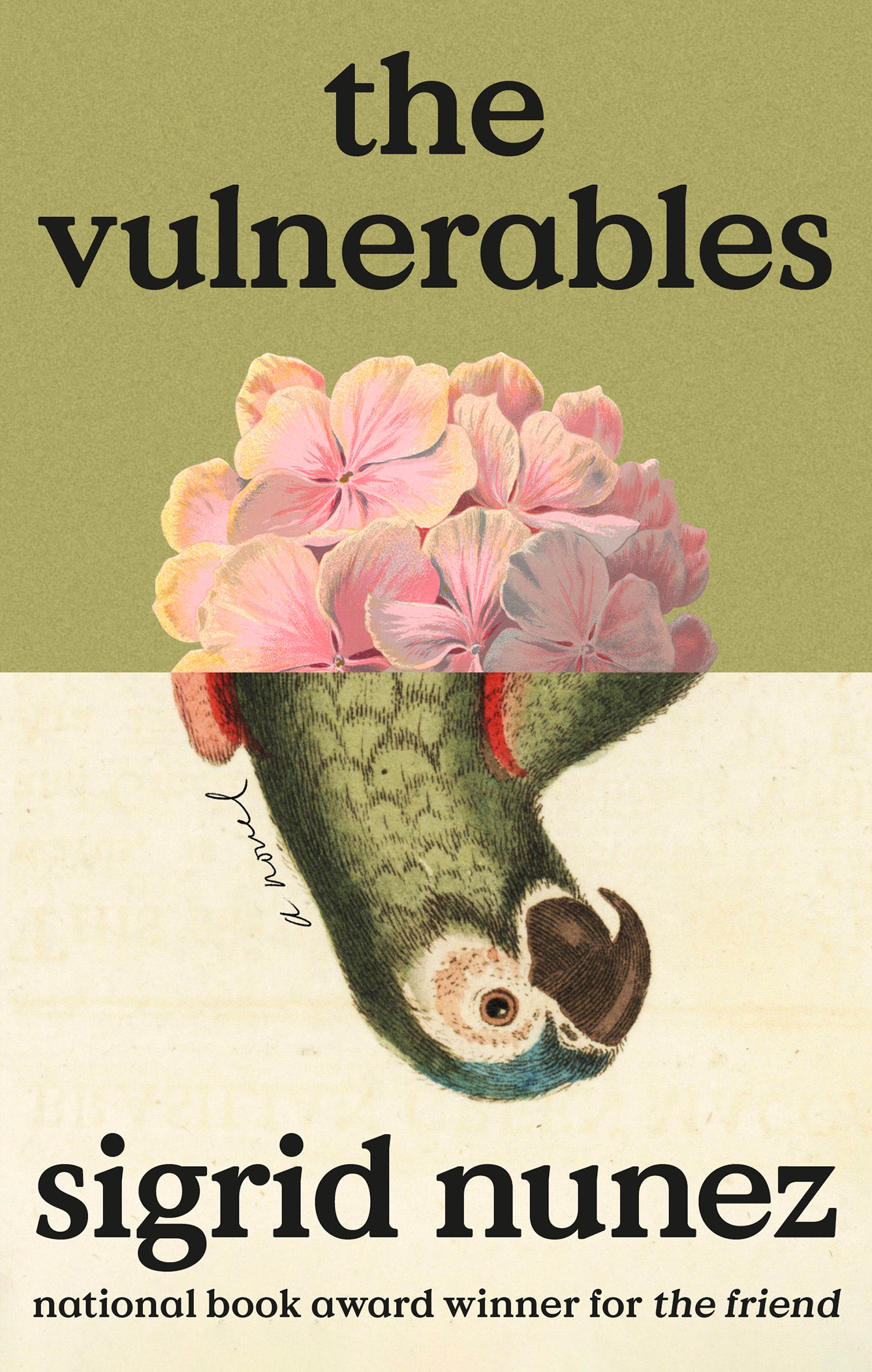 Book Review - The Vulnerables