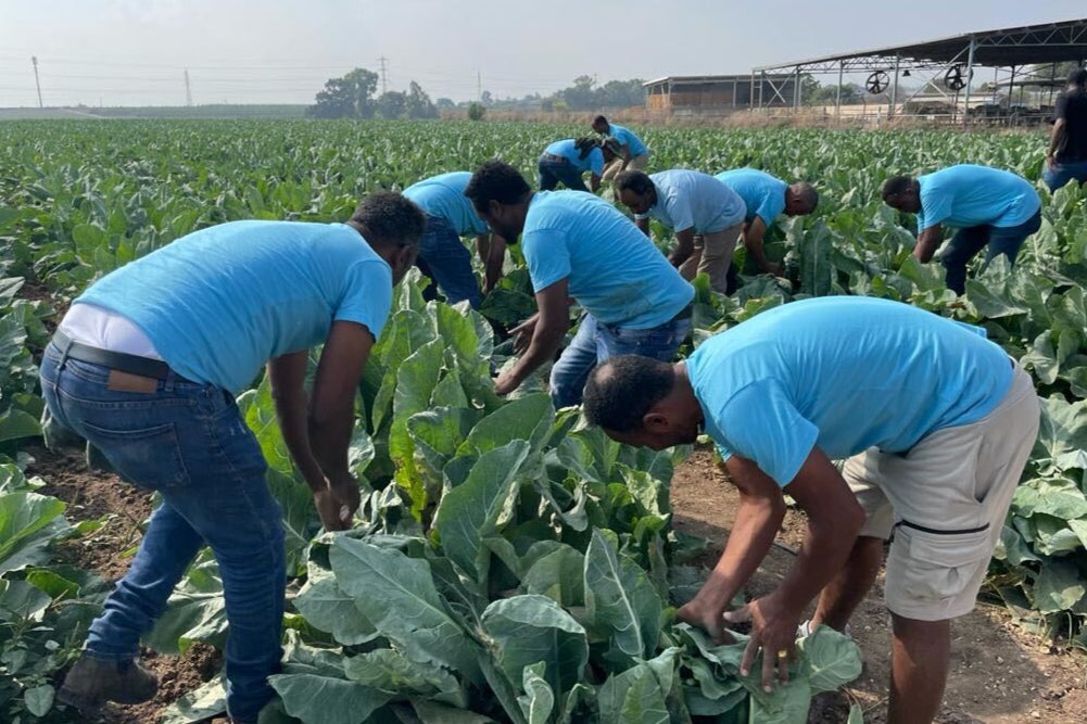 Eritrean volunteers say they want to help any way they can