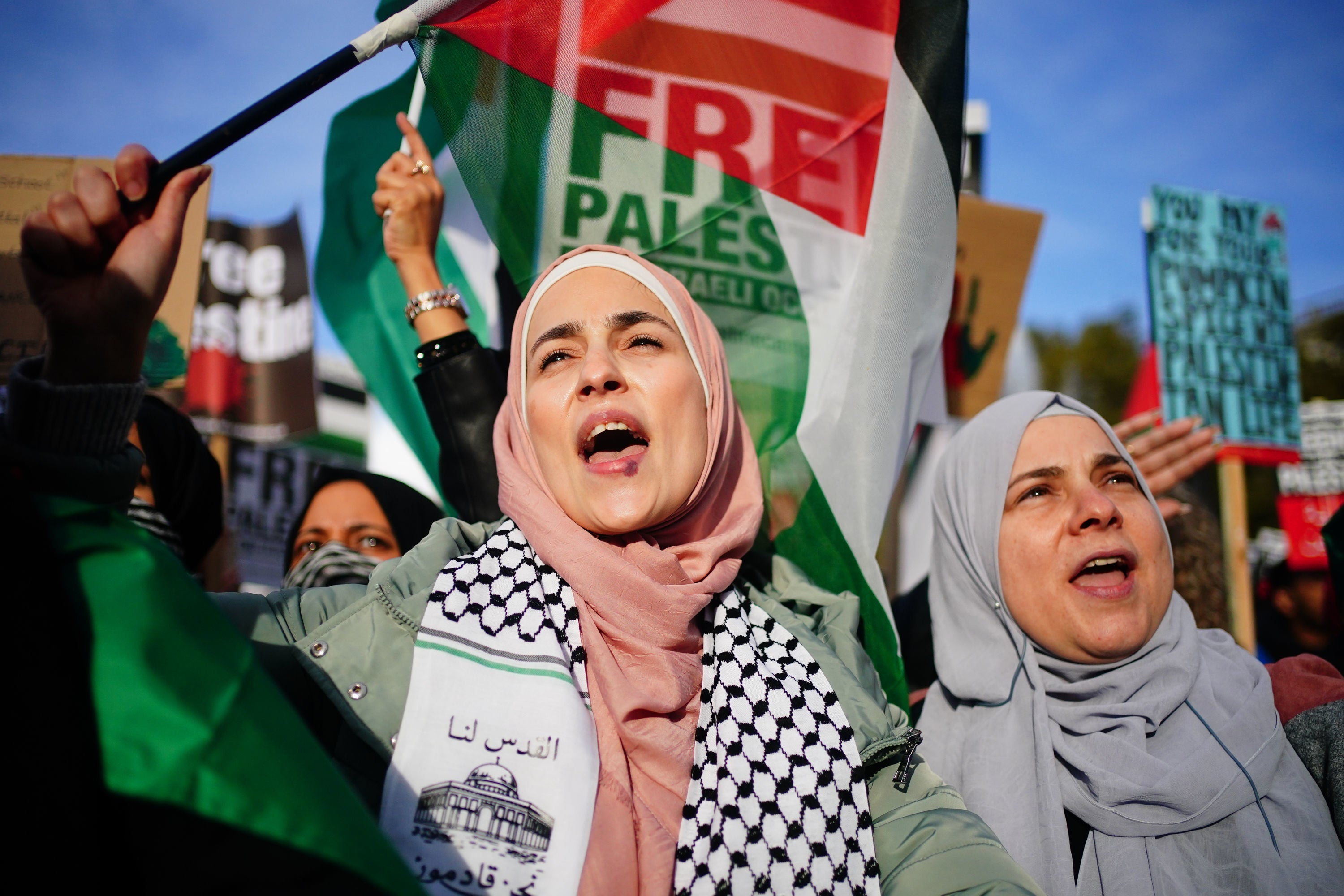 Protesters at pro-Palestine rally in London