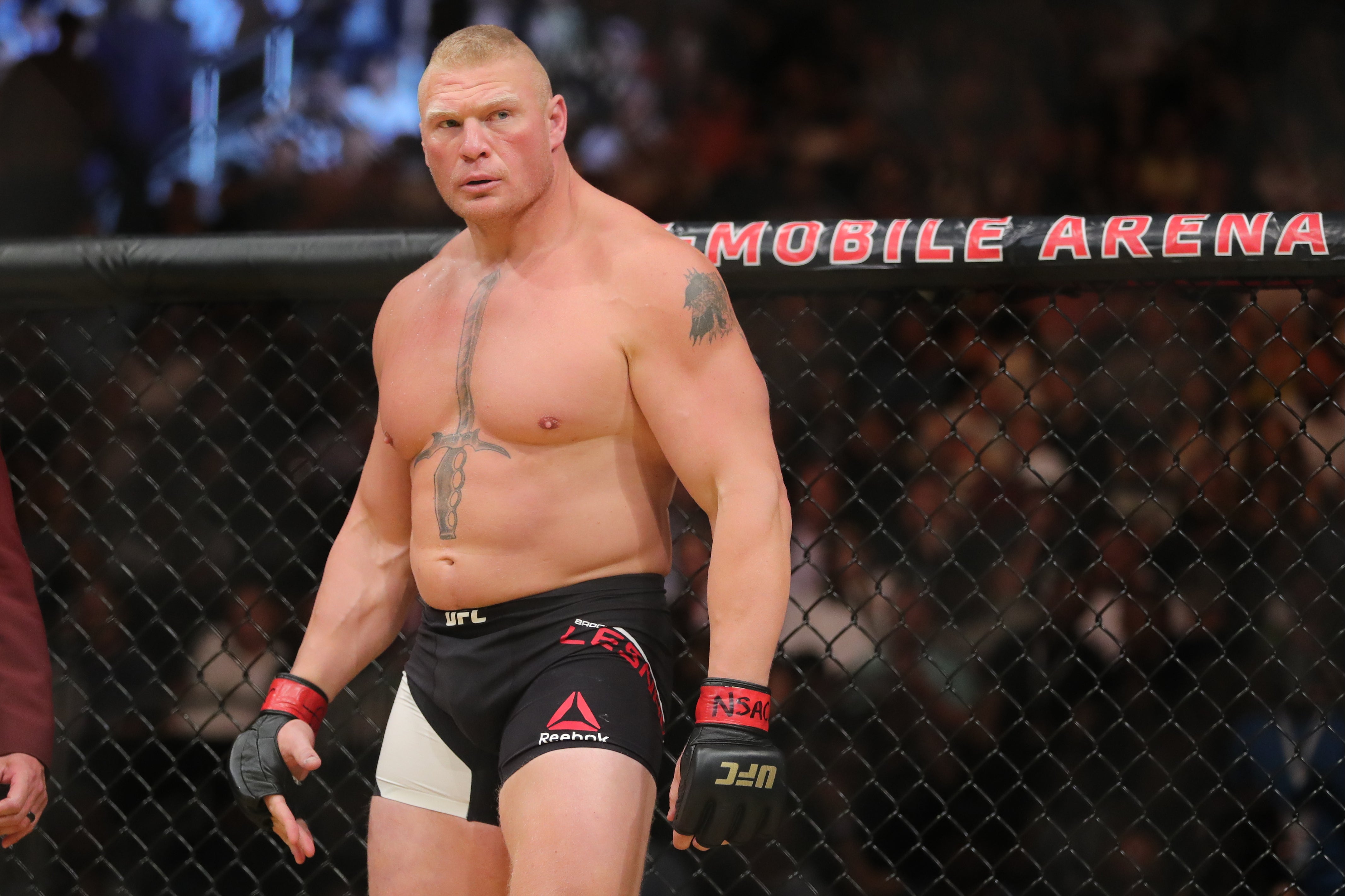 Brock Lesnar is a former UFC heavyweight champion