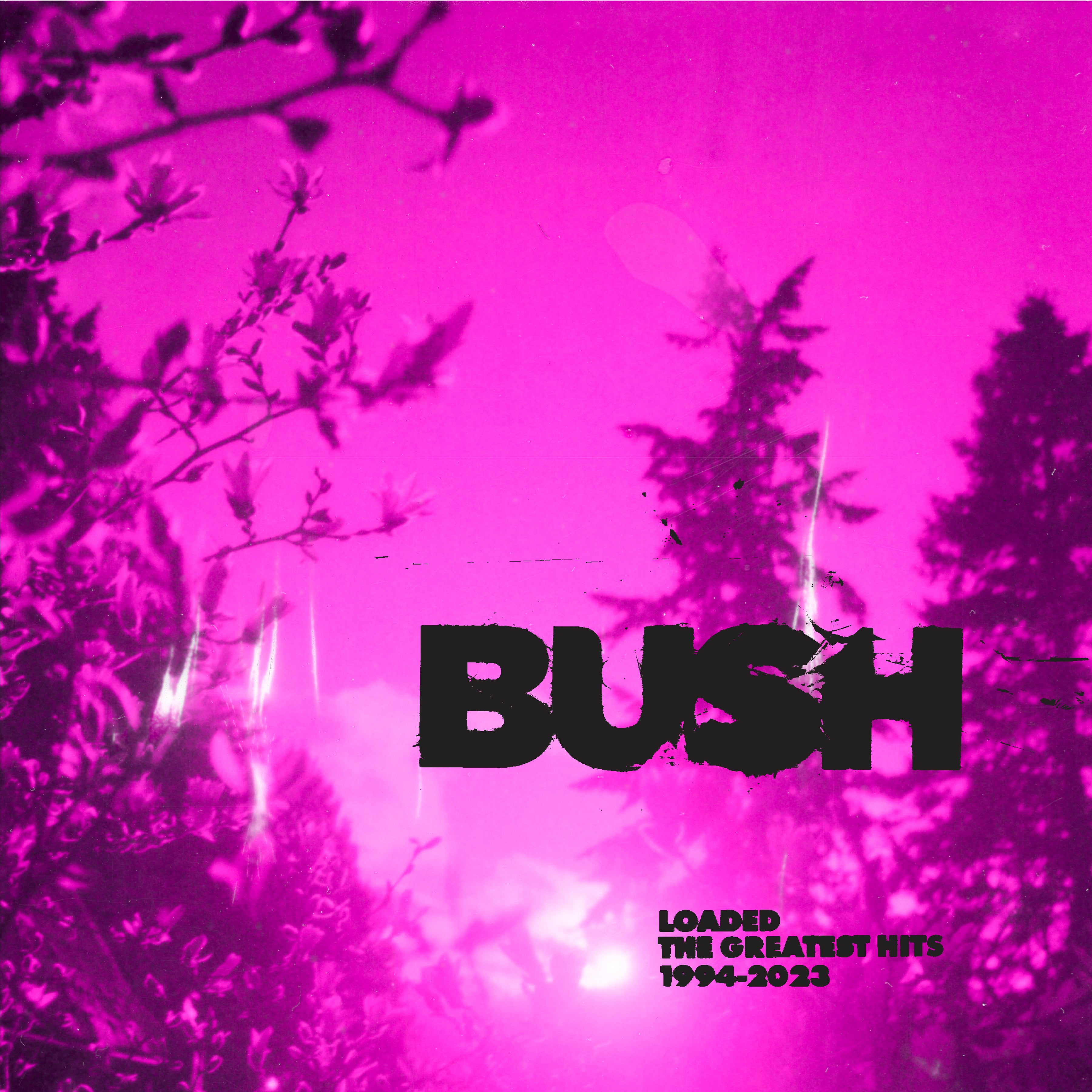 Music Bush