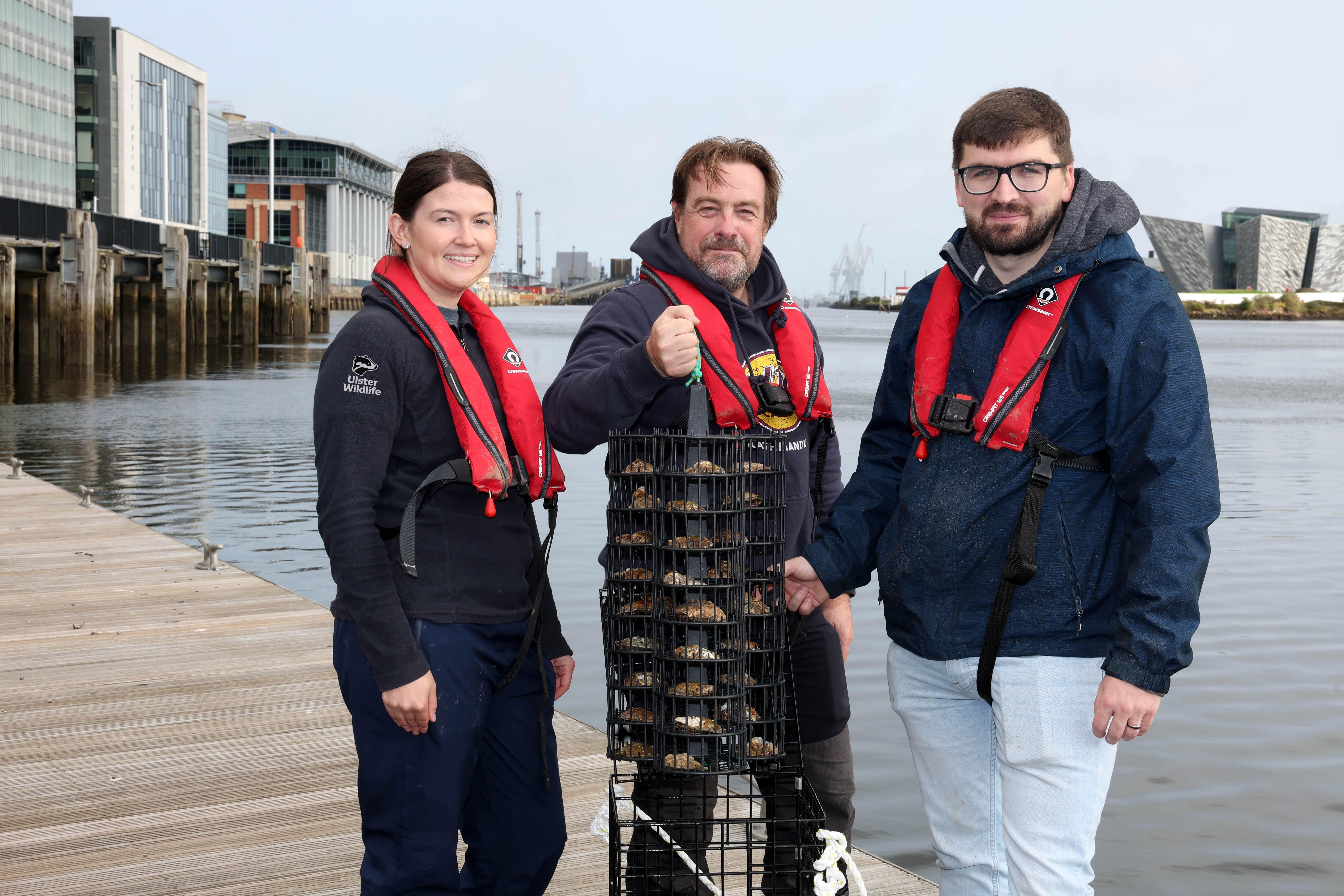 The nursery will be home to around 600 native oysters (Ulster Wildlife/PA)