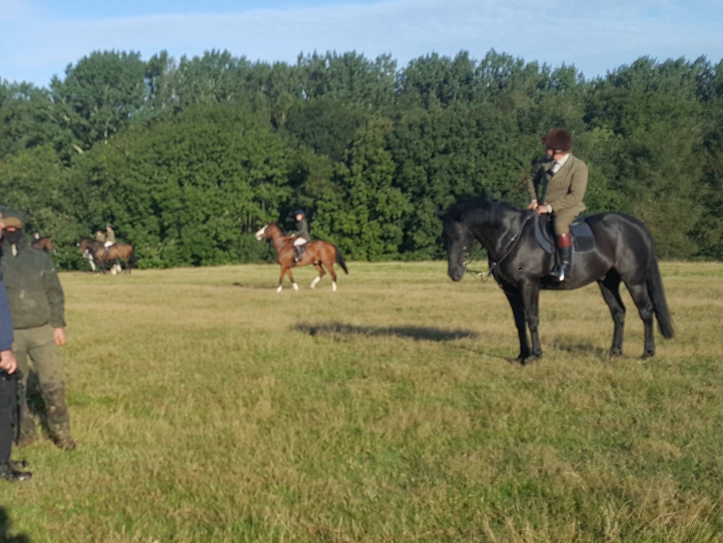 Members of the Pytchley with Woodland Hunt