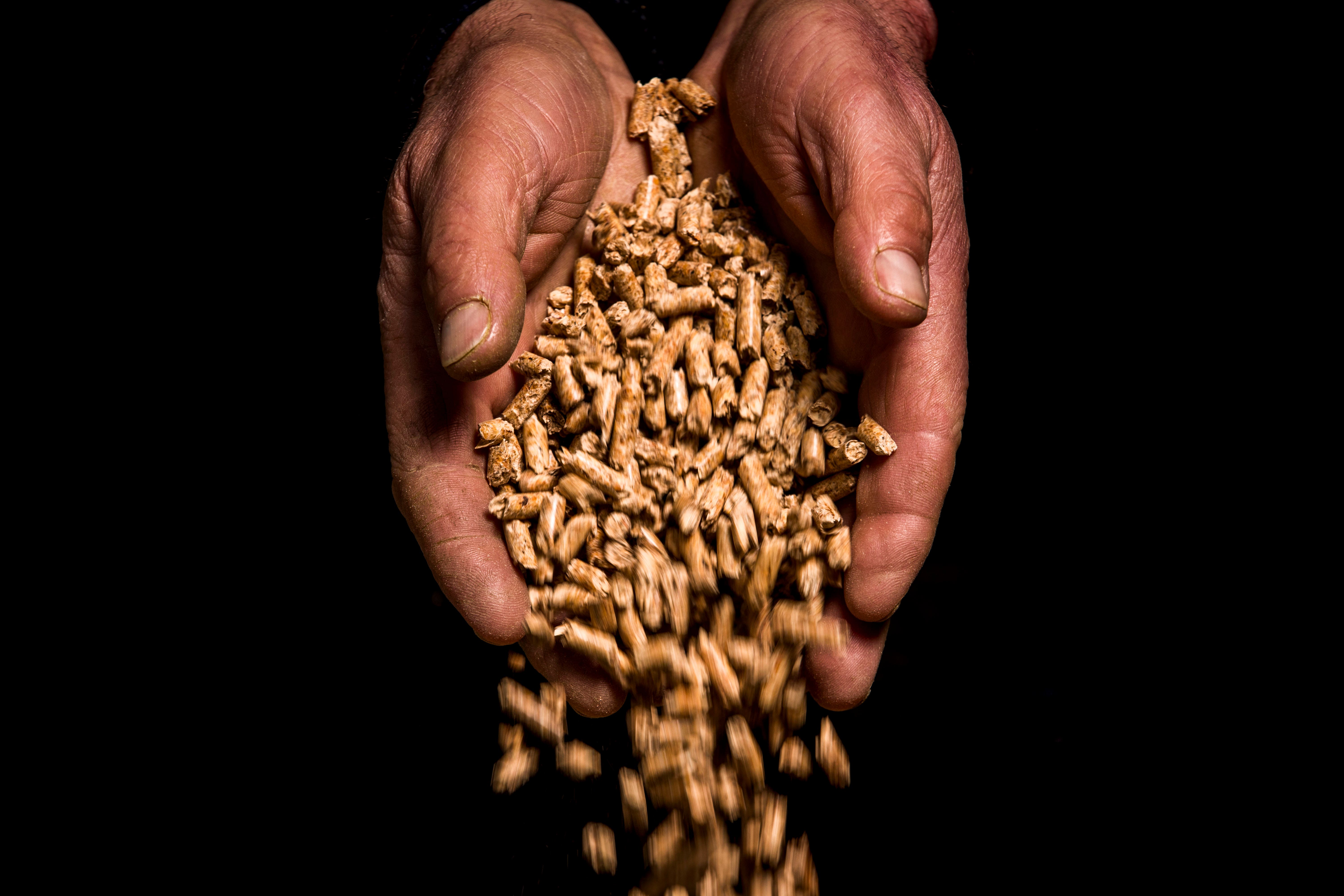 The Government is facing a legal challenge over its Biomass Strategy (Liam McBurney/PA)