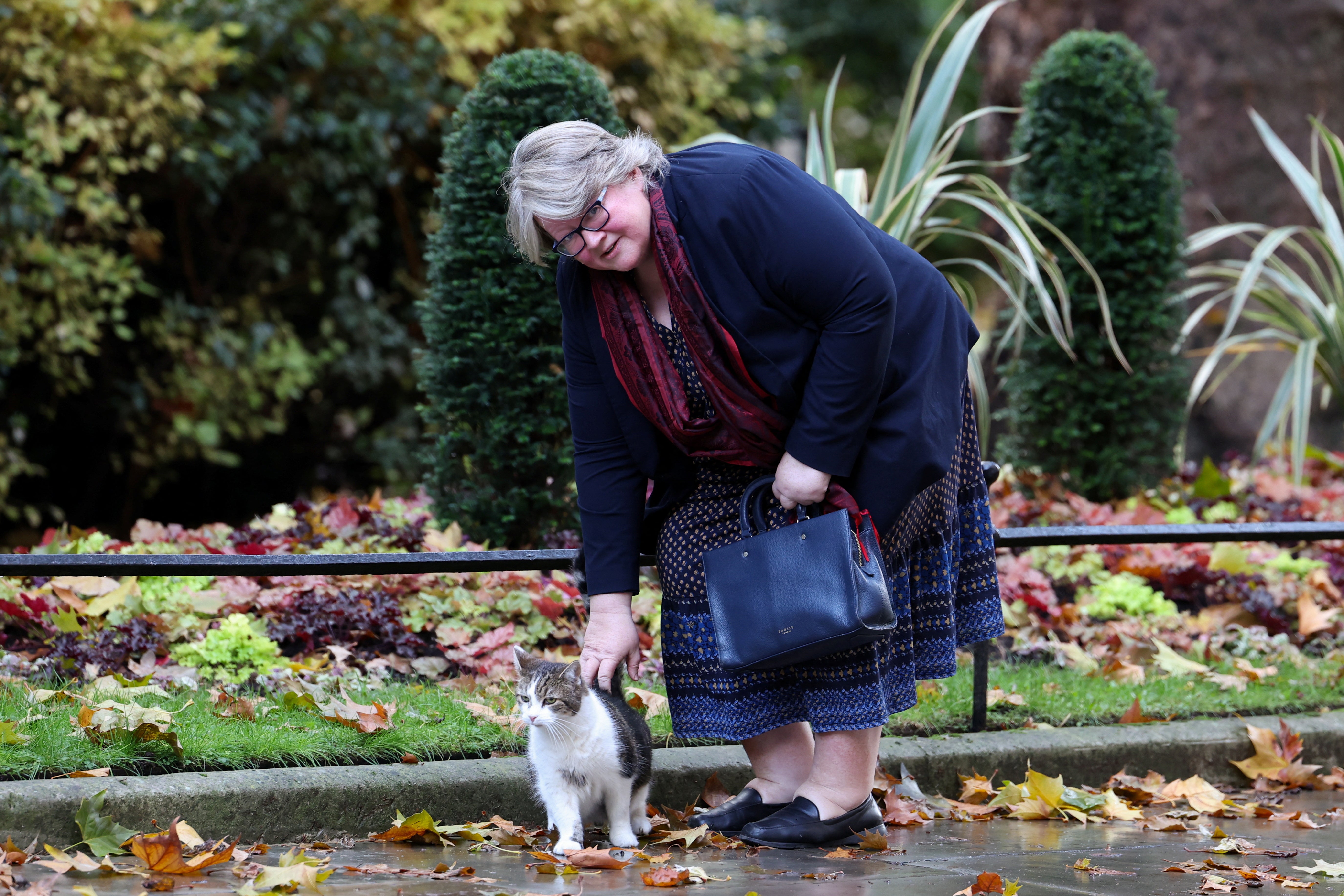 Therese Coffey at Downing Street with Larry the cat, as she prepares to be sacked