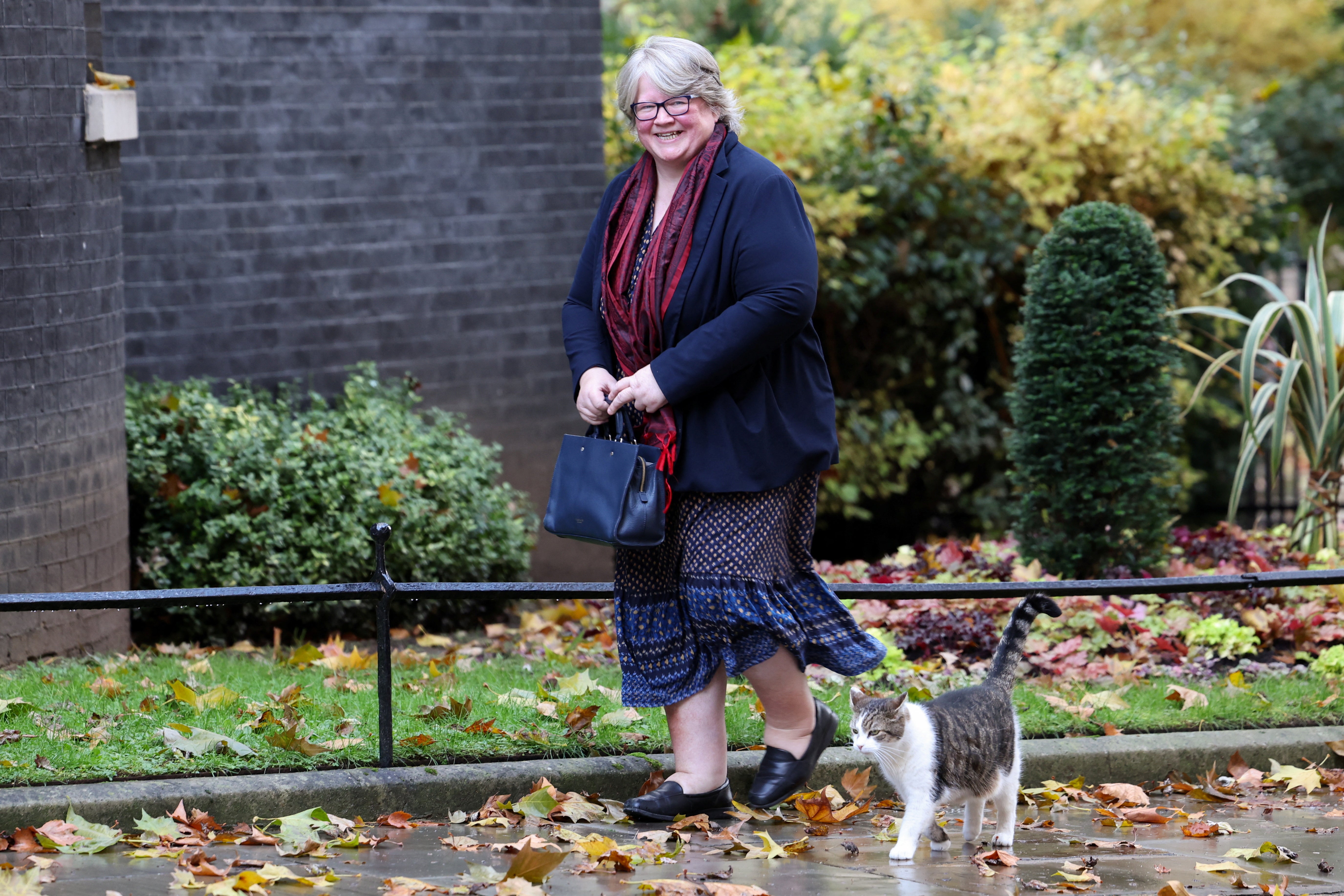 Former environment secretary Therese Coffey