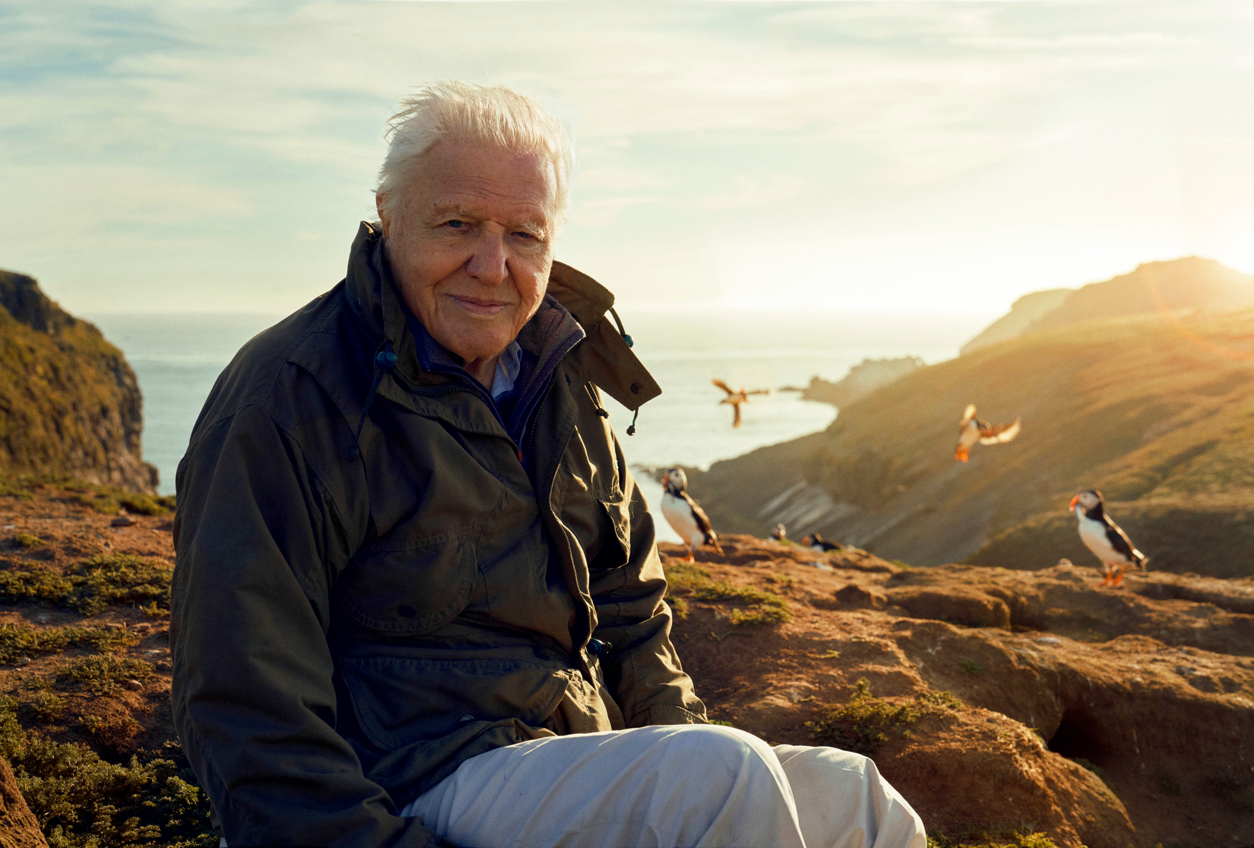 Nonagenarian David Attenborough presented ‘Wild Isles’