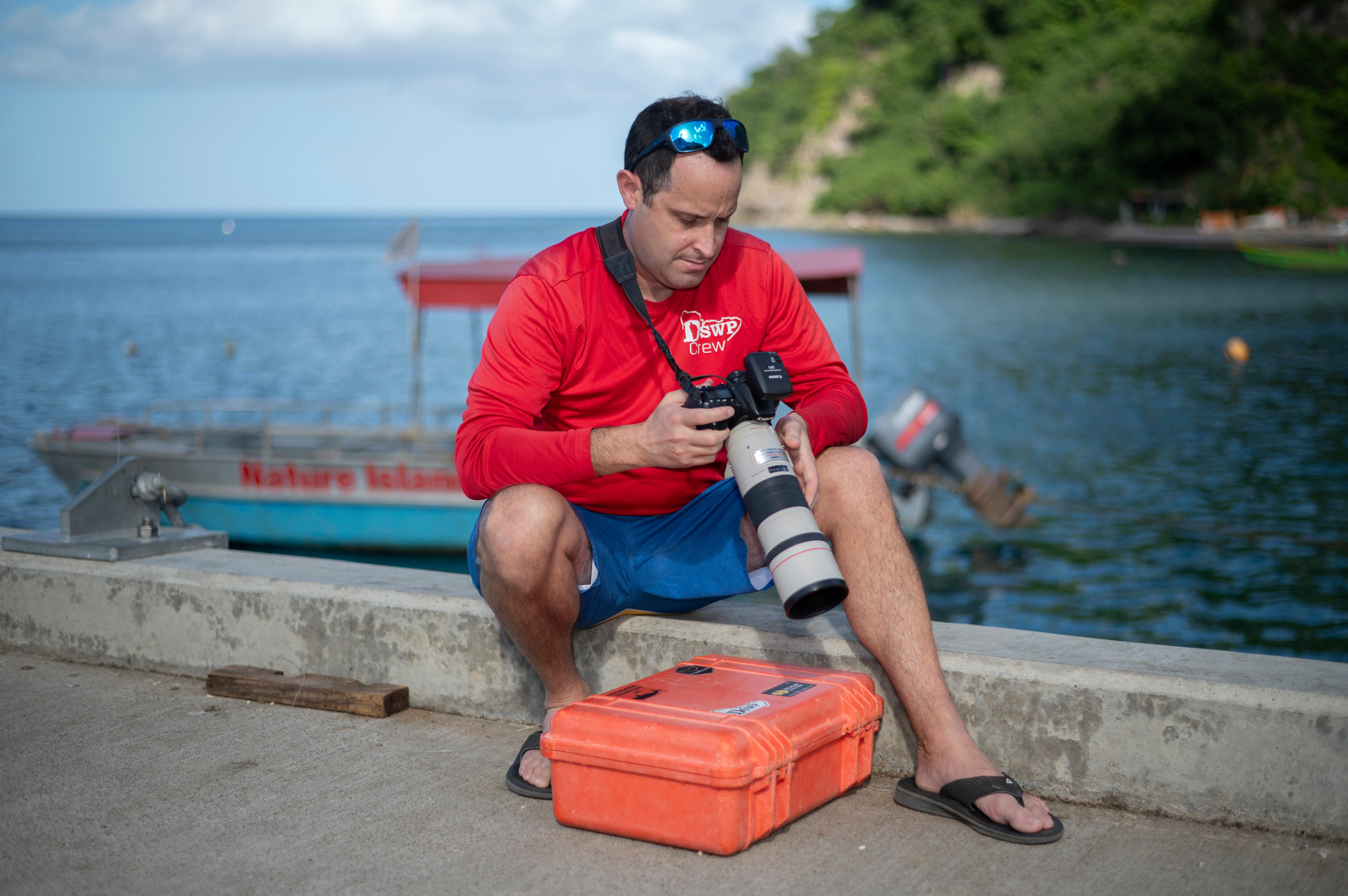 Dominica Protecting Whales