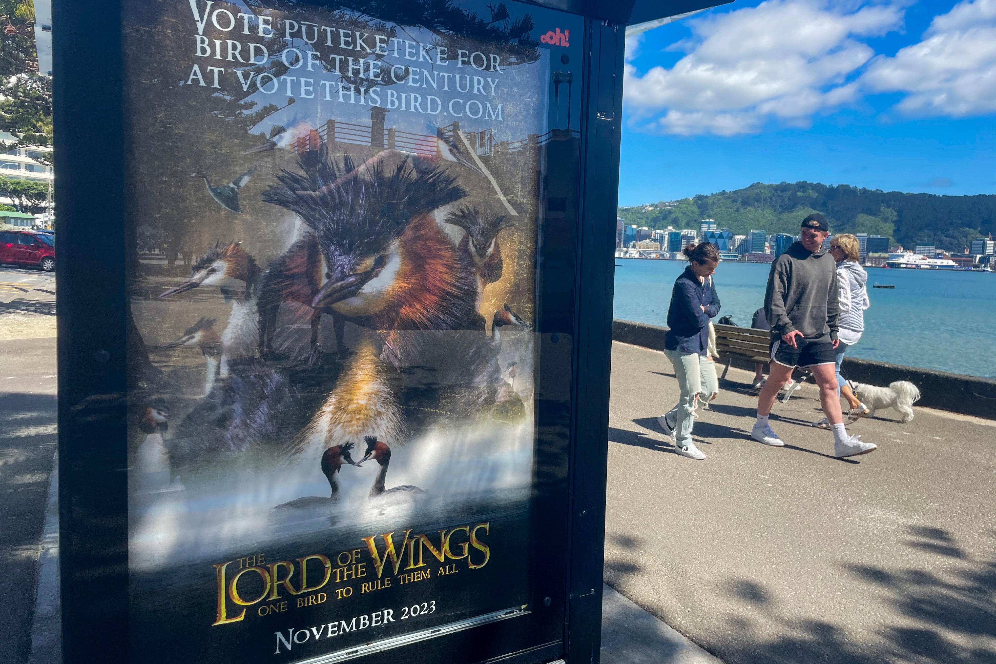New Zealand Bird Vote