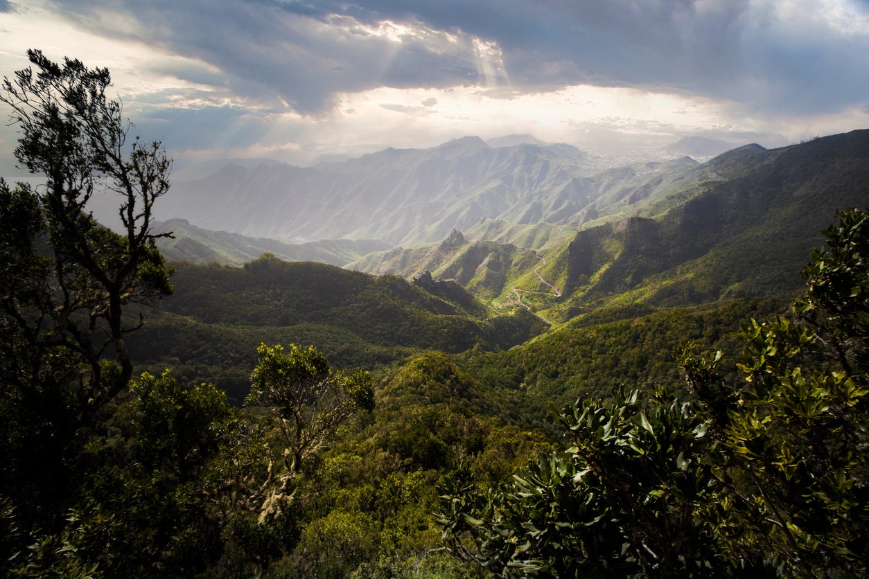 Tenerife has seen temperatures as high as 30C in December