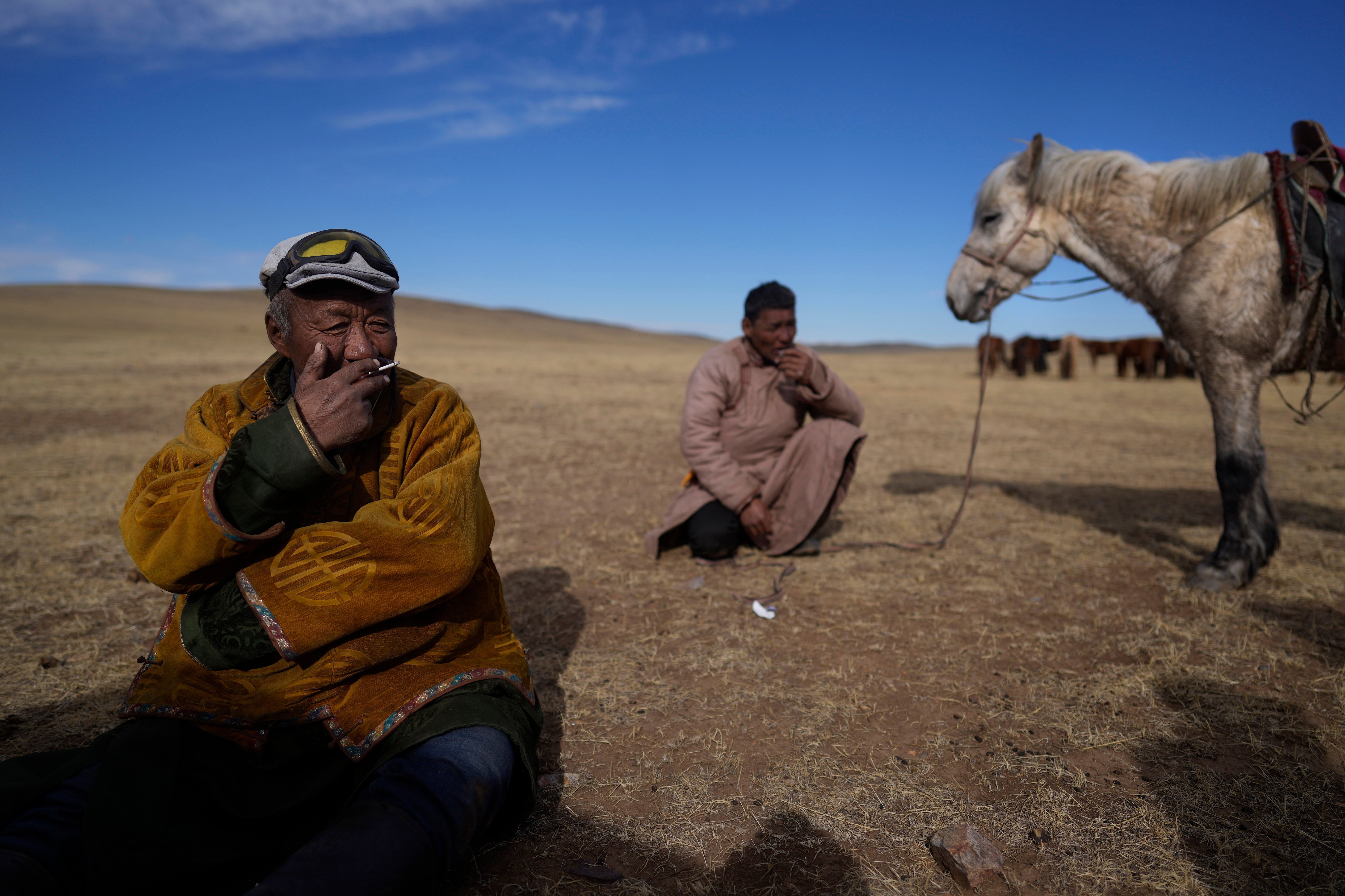 Protein Problem Pastoralism Mongolia Photo Essay