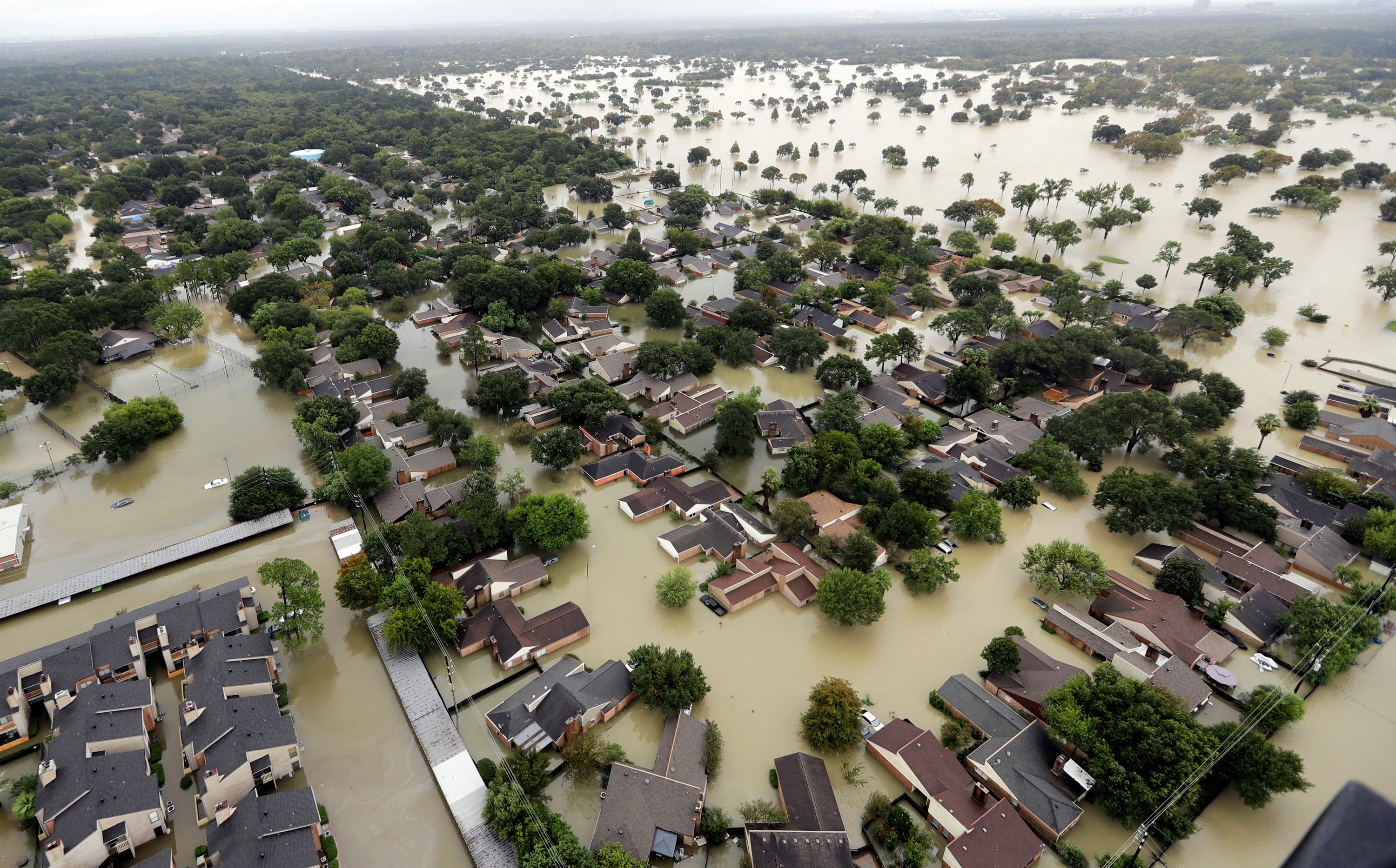 Texas Textbooks Climate