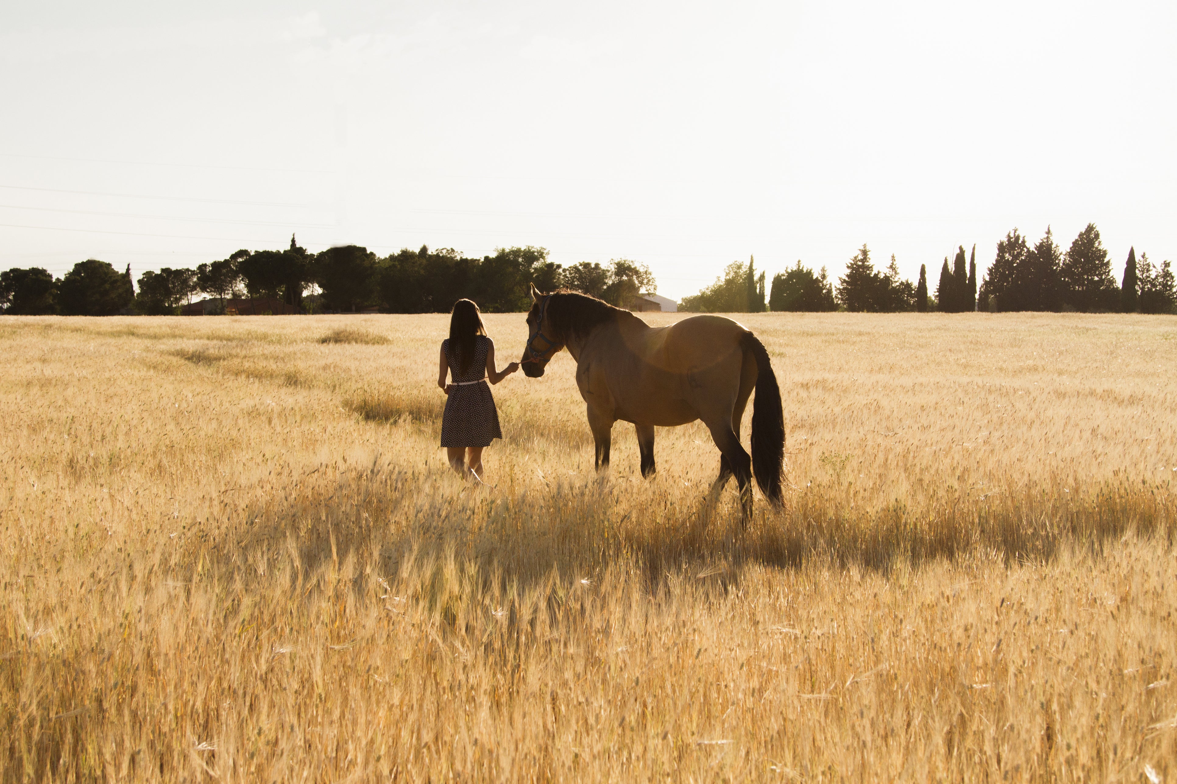 Her interest in horses began a couple of years ago, with origins unknown