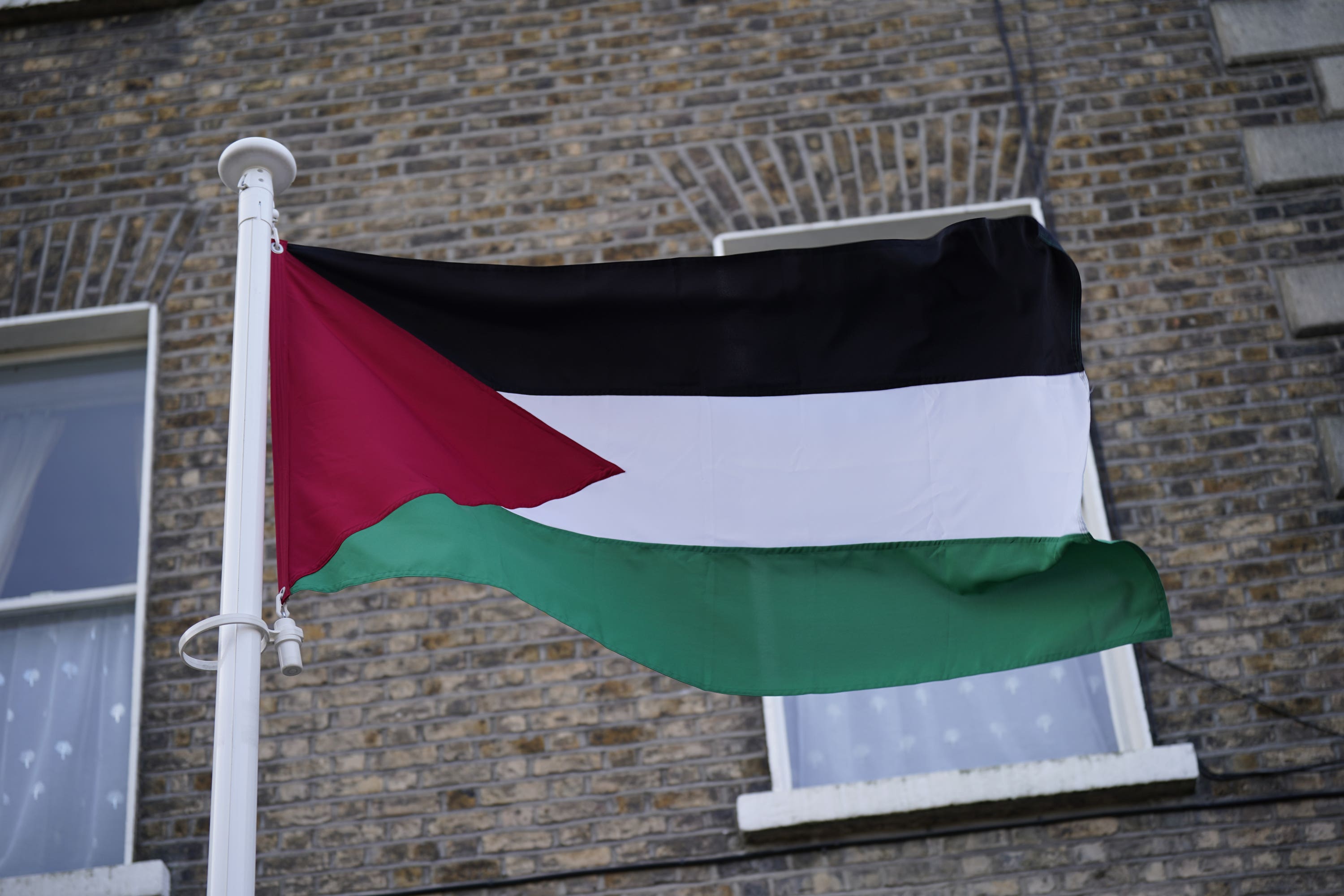 Palestinian flag (Niall Carson/PA)