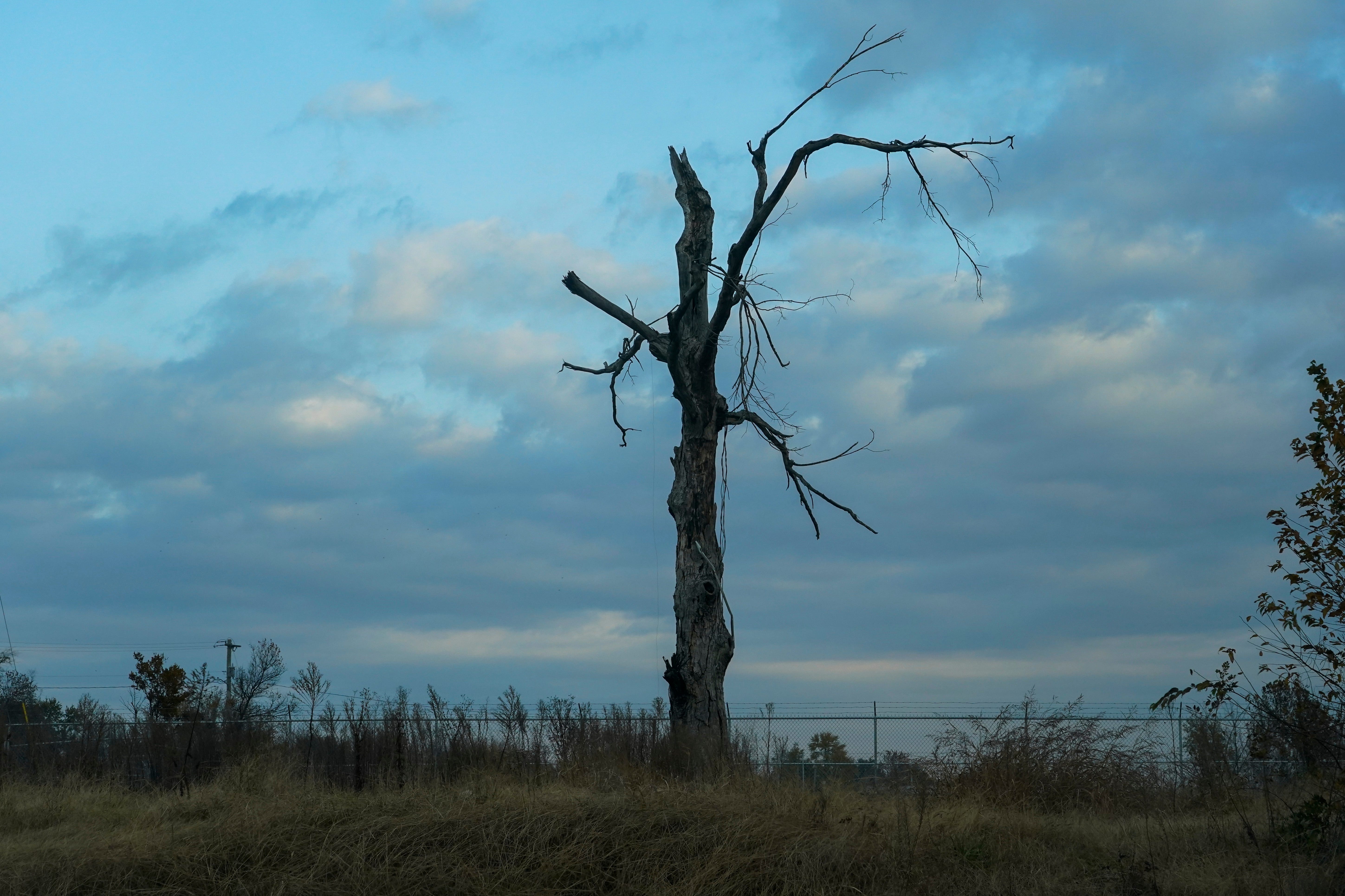 Increasing temperatures bring more destruction from extreme weather (Joshua A Bickel/AP)