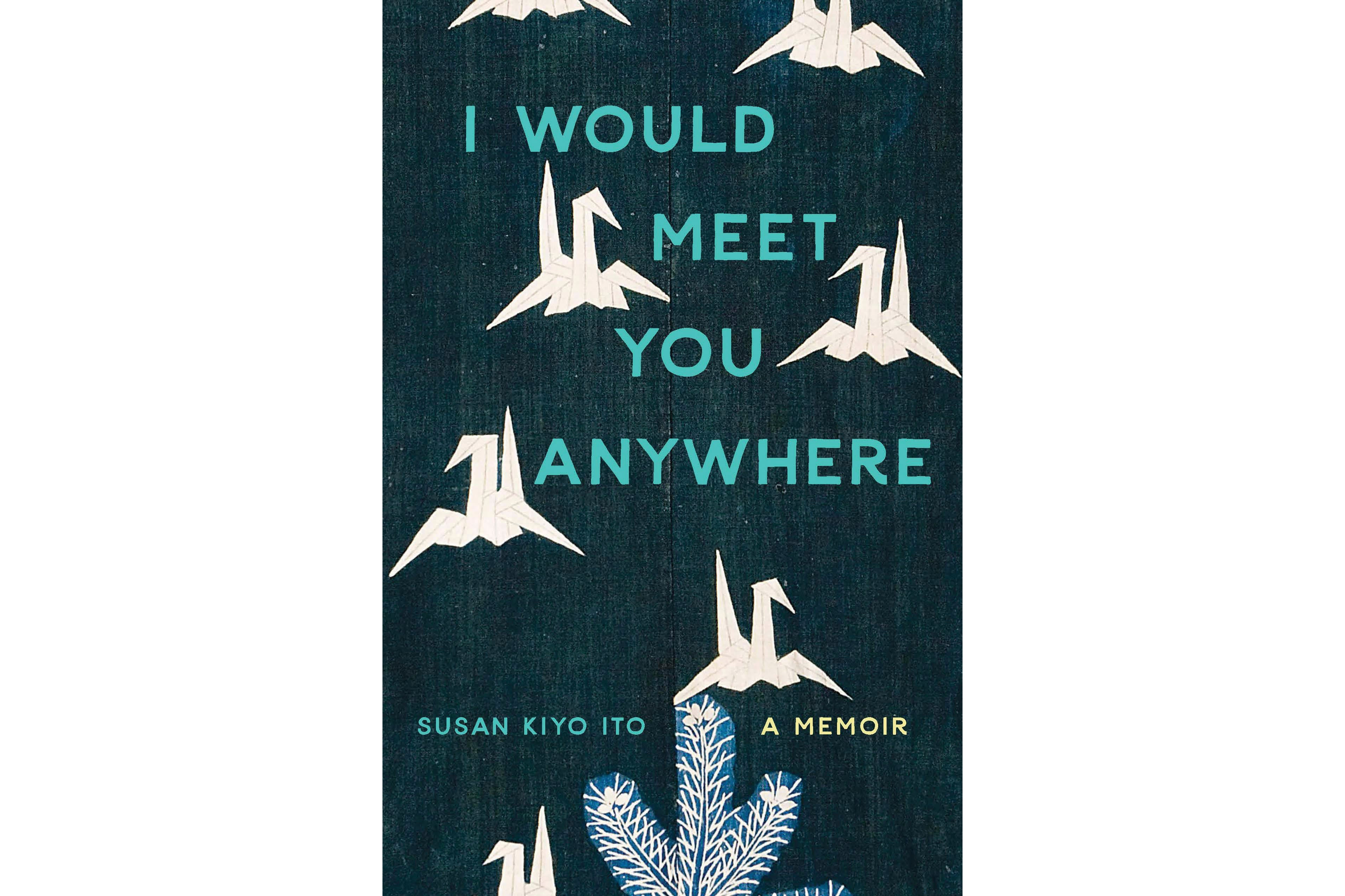 Book Review - I Would Meet You Anywhere